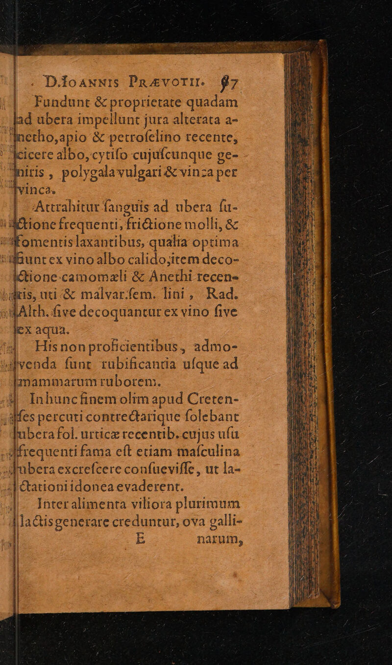 - D.foaNNIS Puavori. $7 Fundunt &amp; proprietate quadam lad ubera impellunt jura altetata a- Inetho,apio &amp; petrofelino recente, ' Jcicere albo, cytifo cujufcunque ge- Jniris , polygala vulgari &amp; vinza per Tvinca. | Artrahitur fanguis ad ubera fu- ione frequenti, fri&amp;ione molli, &amp; lfomentislaxantibus, qualia optima auntex vino albo calidojitem deco- ione-camomzli &amp; Anethi recen- bairis, uti '&amp; malvar.fem. lini , Rad. «mAlrh. five decoquantur ex vino five lex aqua. d Hisnonproficientibus, admo- venda funr rubificanria ufque ad Imammarum ruborem. i Inhuncfinem olim apud Creten- ;aMes percuti contrectarique folebant | Tubera fol. urticz recentib. cujus ufu -A:Mrequenti fama eft etiam mafculina  D. excrefcere confueviffe, ut la- |J tationiidonea evaderent. | Interalimenra viliora plurimum | laGisgenerare creduntur, ova galli- | E narum, * a