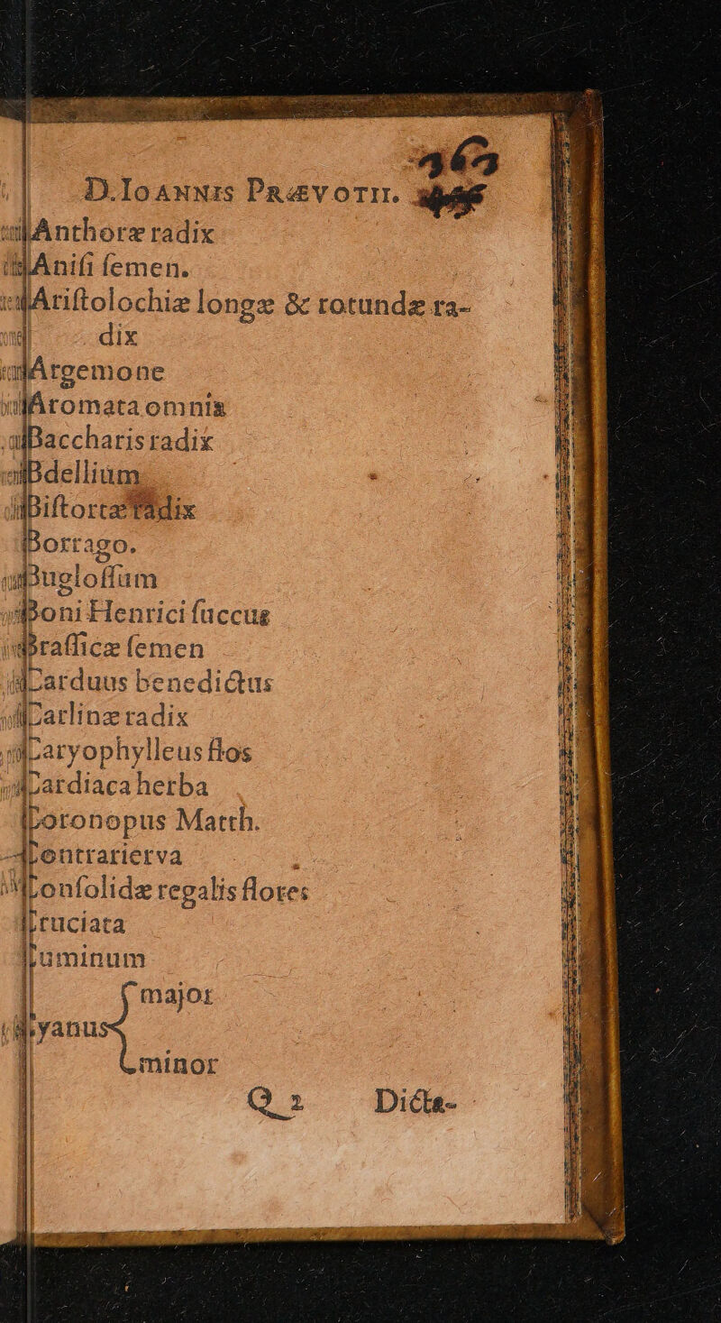 : jgr- ccs etii AE UE [s EOS ERE SUR ; | D.IoaAuuzs Passvorrr. w | A wA nthorz radix iB Anifi femen. i ffAriftolochiz longz &amp; rotundz ra- qd dix T djArgemone | a Aro mata omnis | Poux i dee ium . diBiftorca?tadix iDorrago. upueloffam sBoni Henrici faccus idbralficz (emen dLarduus benedi&amp;tus wDarlinz radix idcaryophylleus flos olpardiaca herba ILoronopus Matth. ALentrarierva MLoufolide regalis lore: |jruciata Jpumint um | major | dyanu minor