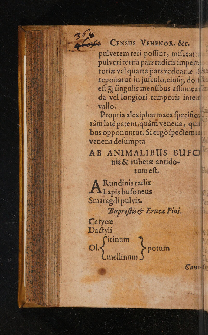 CrzNsus VENENOR. &amp;c. pulverem teri poffint, milccand tj T pulveritertia patsradicisimper: pd torie vel quarta parszedoariz Gt T reponatur in juículo;eiufq; doi] eft Zi fingulis menfibus affüumeiniis da vel longiori temporis intem vallo. | Propria alexipharmaca fpecificu. tàmlaté patent, quam venena, quii| busopponuntur. Sie igo pem venena defumpta AB ANIMALIBUS BUFO' nis &amp; rubetz antido- tum eft. mou Rundinis radix | JE X Lapis bufoneus 1 $4 Smaragdi pulvis. 1 JBuprefits c Eruca Pini. pn Catycz | IU EE Daàyli - W irinum 1 Ol. potum | mellinum