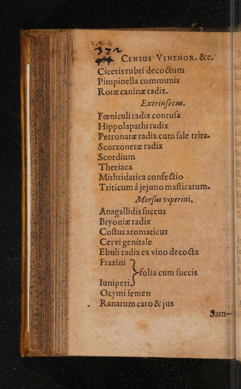 7$-7^- RD ard Crusus VENENOR. GC. Cicetisrubri decoctum Pimpinella communis Rotz caninz radix. Exirin[eus. Foniculiradix contufa Hippolapathi radix Petronatz radix cum fale tritae Scorzonerz radix Scordium T heriaca Mithridatica confectio Triticum à jejuno mafticatume AMor[ns viperimi, Anagallidis fuccus Bryoniz radix Coftusaromaticus Cervigenitale Ebuli radix ex vino decocta Fraxini folia cum fuccis Iuniperi Ocymi femen Ranarum caro & jus