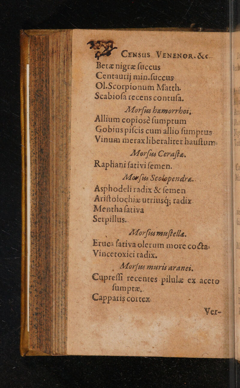 i SET ES i ) HIT X 1:4 re ipid IE INC TR EDU H Beta nigra füccus Centaurij min.füccus Ol.Scorpionum Matth. Scabiofà recens contufa, 2Morfua barmorrbos; Allium copiose fumprum Gobius pifcis cum allio fumprtus Vinum imeraxliberaliter hauftum AMorfus Cerafla. Rapliani fativifemen. Moris Scolependra.. Asphodeli radix & (emen Ariftolochiz utriusq; tadix. Mentha ativa Serpillus.. oMorfrs muftella. Eruca fativaoletum moré cocta: Vincetoxici radix. 9Morfus murts aranes, Cupreffi recentes pilula ex aceto fümptz, Capparis cortex: Ver-