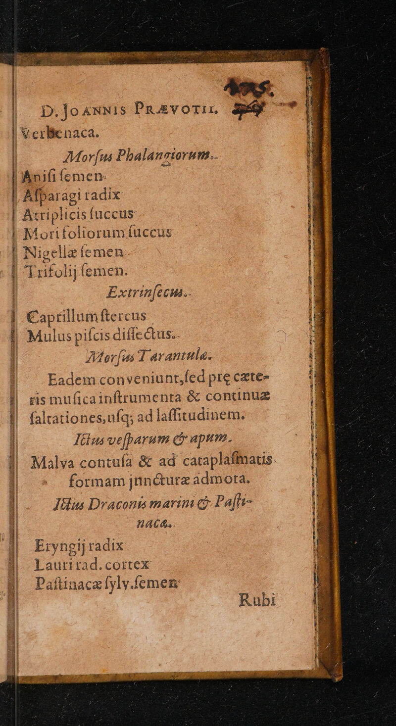 MON DS OE GRIUEUEOY AGPICRIERER E erint mee, oe : T seis iic di Ub uai s iis Mor[us Phalanaiorum.. I Anifi femen- | Afparag: tadix Atriplicis fuccus den rifolioram fuccus Bee íemen olij íemen. Extrin[ecun.. €aprillum ftercus Mulus pifcis diffectus.. Ator[ui T arantila. Eadem conveniunt;fed pre cate- ris muficainftrumenta & conunue faltationesufq; ad laffitudinem. Iiius ve[parum c apum. formam jünéurz admota. Ju Draconis marim c Pa[le- ACA. Eryngij radix Laurirad.cortex Paftinaca[yly.femen Rubi icm icq Ra c IE DUE Ree got n tomar AP agp eme cf v er in tale ni cott