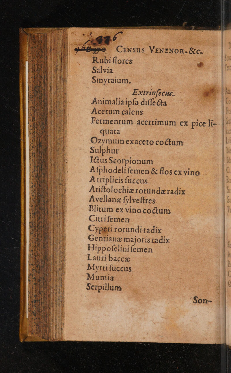 Rubi flores e Salvia Smyraium. Extrinfecus. EF Animaliaipía diffe&a Acetum calens Fermentum acerrimum ex pice Ii-- 1 quata Ozymum exaceto coctum Sulphur Ictus Scorpionum Afphodelifemen & flos ex vino ÀÁ triplicis füccus Ariftolochiz rotunda radix Avellana fylveftres Blitum ex vino coctum Citrifemen Cyperi rotundi radix Gentianz majoris radix Hippofelinifemen Lauri bacce Myrti fuccus Mumia Serpillum
