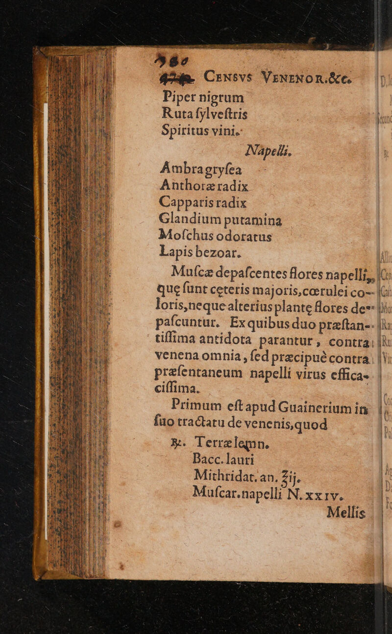 87 - Crwsvs VrNrNOom.&amp;e. — || Piper nigrum Ruta fylveftris | di Spiritus vini. | Napelii, ÁAmbragryfea Anthorz radix Capparis radix Glandium putamina Mofchus odoratus Lapisbezoar. À Maufcz depafcentes flores napelli,, IC: que funt ceteris majoris,cerulei co-- Ki loris,neque alterius plante Bores de lii pafcuntur. Exquibus duo przftan-- | tiffima antidota parantur, contra: ll venena omnia, fed przcipué contra. | V. prazfentaneum napellí virus effica- | ciffima. | Primum eftapud Guainerium in [ fuo tractatu de venenis,quod &amp;. Terreleqn. Dacc.lauri Mithridat.an. Zij. Mufcar.napelli N. xxiv. Mellis