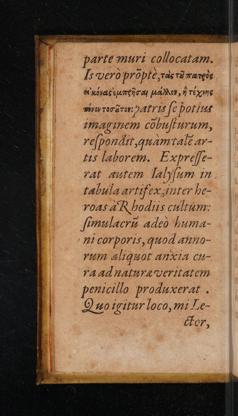 τ CASI. / s am partes uri collocatam. t «Uer propte; é: τὸς τῷ πατρὸς 6 κόγας ἐμπρῆσαι μάλλον : ἢ T£ χγής yay TOT τοῦ: AAT 72 s [e bof 7 H4 :  maginem cobulurum, refponárt qmamtale ar- tis laborem. Expreffe- : vat autem Jalyfum 721. tabula artif ex; 4uter be- v0AS AR bodiis cultum: f? mulacri adeo buma- 5t cor poris, quod 4110- vum aliquot anxia cu- raadnaturaveritatem penicillo produxerat . Ὁ no tritur loco, mà Le- Gor,
