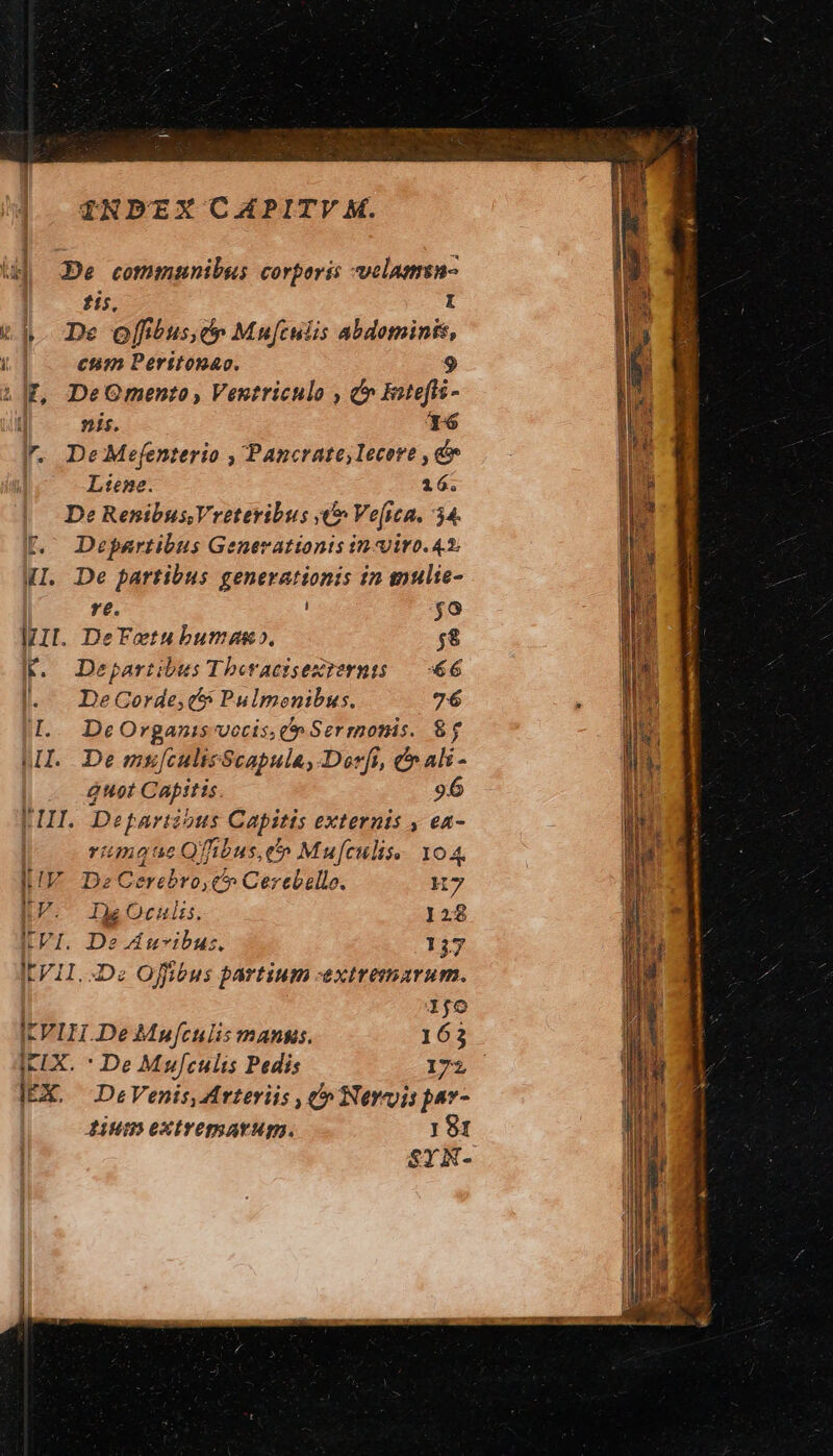 INDEX CAPITVYV MK. id De communibus corporis velamsn- $15, I th. De offibus,ce Mufculis abdominis, ἮΝ eum Peritonac. $9 i|f, DeQmento , Ventriculo , &amp; ΒΡ} 5 nis. T6 r. De Mefenterio , PancrateIecore , c Ltene. 16. De Renibus,Vreteribus x» Ve[ica. 54. E. Departibus Generationts in iro. 4.2; WI. De partibus generationis in mulie- e. το 1111. DeFetubumau». $8 lf. Departibus Tberacersexzernts 66 |l. DeCGorde,c Pulmenibus. 76 1. DeOrgazis vocis, m Sermonis. $5 II. De muf[culisScapula, Dorfi, cali - Quot Capitis 96 LIII. Derartzous Capitis externis , ea- rimoue Qfhbus,e'» Mufculis. 104, IE. De Cerebro,€» Cerebello. 7 ΠΥ. ρος. 128 VI. De Auvibus. 127 ItVH. De Offibus partium -«extremarum. 1fo ICVIH.De Mufculis manus. 163 ICLX. * De Mufculis Pedis 172 IEX. DeVenis, Arteriis 7) (Ὁ Nervjis pav- lium extrepmarum. 191 SYA-