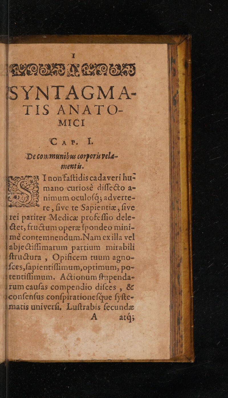 IRE NES CoU ISYNTAGM A- I LIIS ANAT O- | MICI ^at .L IDecommunibus corporis vela- menti. ἘΣΣΙ In von faftidis cadaveri hu- KK. 7) mano cutiosé diffe&amp;o às ERA nimum oculoíà; adverte- v9 pel five te Sapientiz , five | rei pariter Medi ca profeffio dele- étet, fructum opera Ípondeo mini- I mé conteminendum.Nam ex illa vel labjectiffimarum partium. mirabili Iftrudura , Opificem tuum agno- Ifces,fapientiffimum,optimum, 38s jtentiffimum. Ac&amp;ionum ft ipenda- | rum caufas compendio difces , &amp; |con fenfus confpirationefQue fyfte- | matis univerf, Luftrabis fecunda A at;