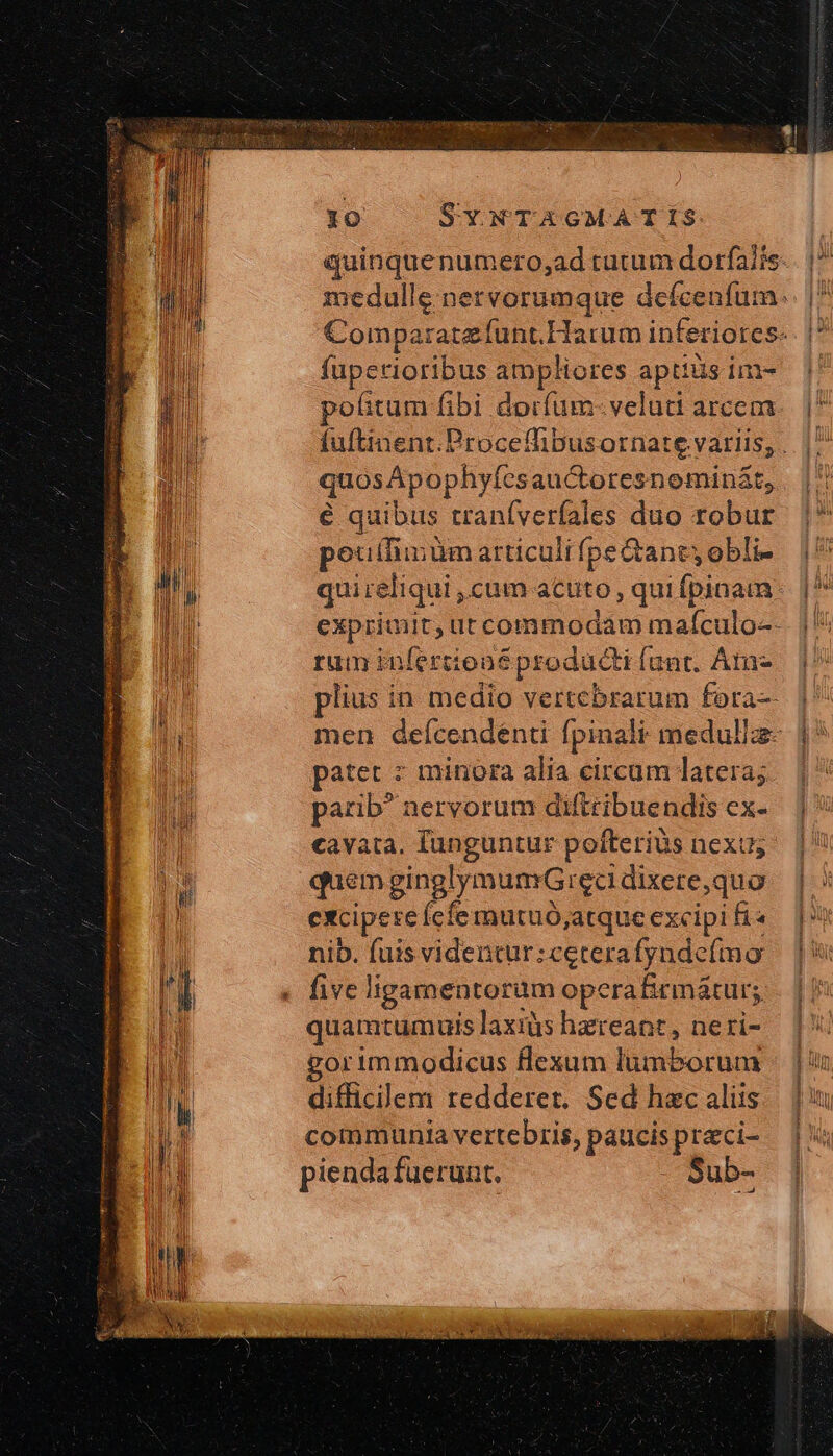 M fuperioribus ampliores aptius im- pofitum fibi dorfum- veluti arcem quos Apophyfesauctoresnominat, ὁ quibus traníverfales duo robur poutlimum articuli fpe &amp;ancyobli- quireliqui , cum acuto , qui fpinam rum infertione producti funt. Áin- patet : minora alia circum latera; parib^ aervorum difttibuendis ex- cavata, funguntur pofteriüs nexu; quem ginglymumGrecd dixere,quo excipeseícfemutuo;atque excipi fi« nib. fuis videntur:ceterafyndeímo five ligamentorüm operafirmátur;. quamtumuls laxis hereant, neri- gorimmodicus flexum lumborum difficilem redderet. Sed hac aliis communia vertebris, paucis praci- piendafuerunt. Sub- tt Maki or deaip- t PHCS/ A Dr WRCCRSUI RI OW ER RR AME M ETAT