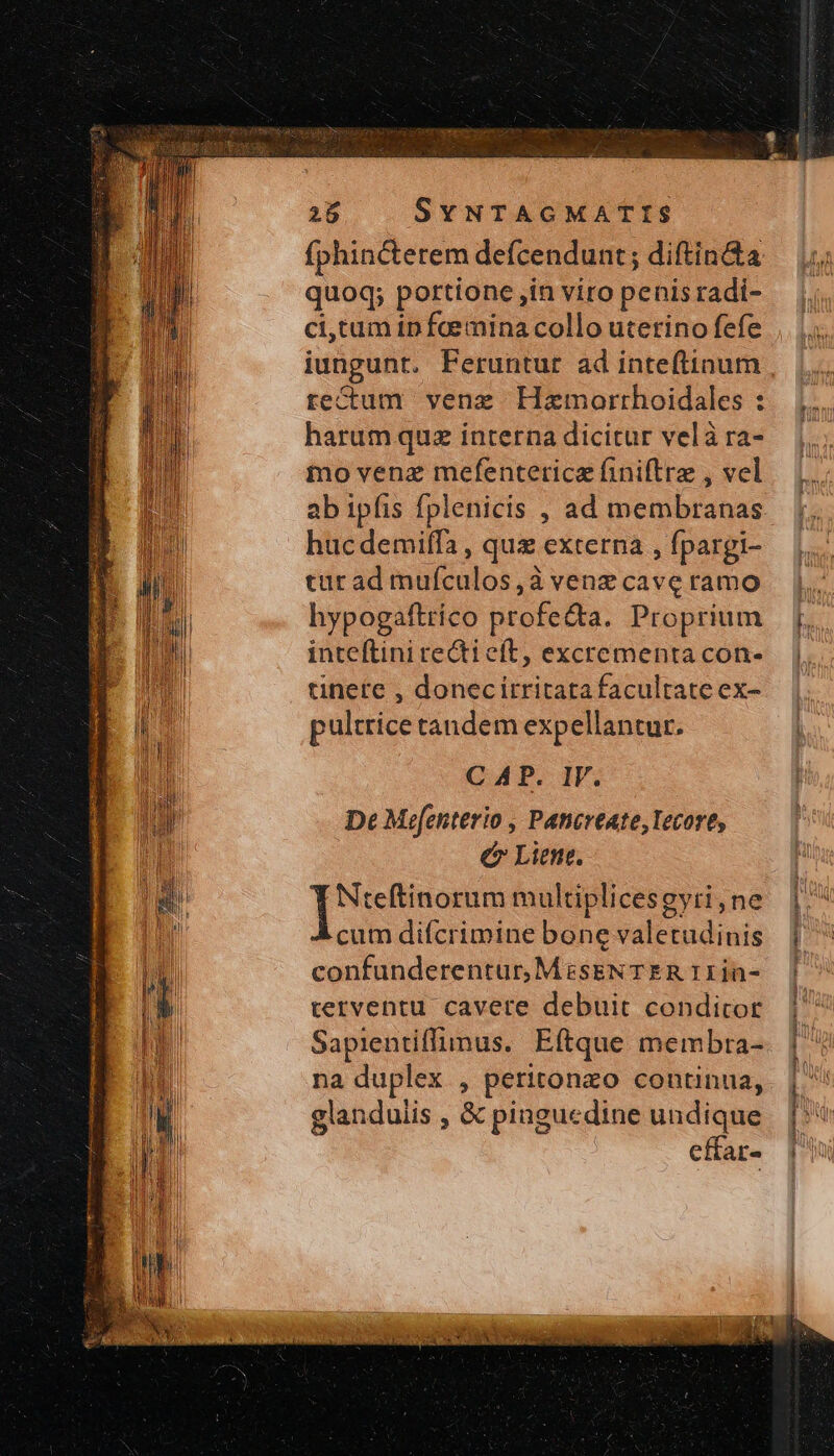 fphincterem defcendunt ; diftin&amp;ta quoq; portione jin viro penisradi- ci,tam ipnfcemina collo uterino fefe iungunt. Feruntur ad inteftinum tectum venez Hazmortrhoidales : harum quz interna dicitur velàra- mo venz mefenteticz finiftrz , vel ab iplis fplenicis , ad membranas hucdemilfa , quz externa , fpargi- turad mufculos,à venz cave ramo hypogaftrico profe&amp;a. Proprium inteftini recti eft, excrementa con- tinete , donecirritatafacultate ex- pultrice tandem expellantur. CAP. IV. De Mefenterio , Pancreate, Tecore, e Liene. Nteftinorum multiplicesgyti, ne cum difcrimine bone valetudinis confunderentur, MisENTER 11 in- terventu cavete debuit condicor Sapientiffimus. Eftque membra- na duplex , peritonzo continua, landulis , &amp; pinguedine undique q t effar- VU προ SEE MR Ses Mae Mo AXE en) B Ad Ner CaL PS p c p ey