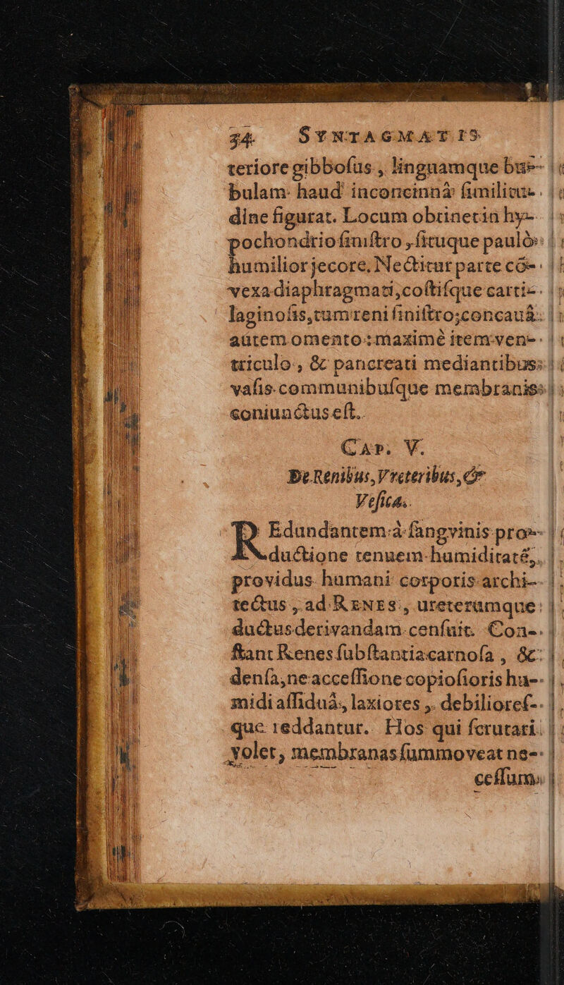 dine figurat. Locum obrinetia hy- coniunctus e(t. Gap, V. Be Renibus, Vreteribus ΟΣ Vefica.. ductione renuem-humiditaté,, providus humani corporis archi- tectus ,. ad R ἘΝῈ 5:. ureteramque que reddantur. Hos qui fcrutari