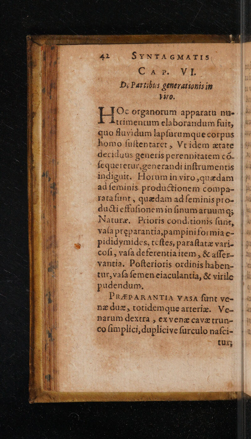 Car WE D; Partibus generationis in yiro. H9: organorum apparatu nte trimenuim elaborandum fuit, quo fuvidum tapfarumque corpus homo fuftentaret, Vtidem atate deciduus generis perennitatem có. Ícquererur,gener ndi inftrumentis indiguit. Horum in viro quadam ad feminis. productionem compa- rataftnt, quadam ad feminis pro- ductieffufionemin (inumarnum ἧς vaía pteparantia,pampiniformia e- pididymides, teftes, paraflatie vari- cofi, vafa deferentia item , ἃς affer vantia. Pofterioris ozdinis haben- tur, vafa femen eiaculantia, &amp; virile pudendum. PREPARANTIA Y ASA fünt ve- nz duz, totidem que arteriz. γε- narum dextra , exvenz cave trun- co (im plici, duplicive fürculo nafci- tuis