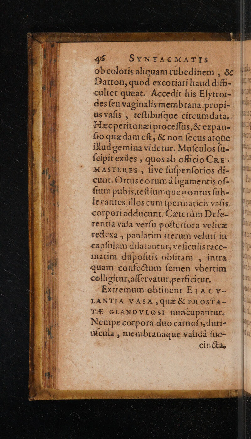 Darton, quod excotiari haud diffi- culter queat. Accedit his Elytroi- esfeu vaginalis membrana .propi- us vafis , teftibufque circumdata, Hecperitonziproceffüs,&amp; ex pane fro quzdam eft, &amp; non fecus atqtie ilud gemina videtur. Mufculos fu- fcipit exiles , quosab officio Ca x M ASTERES , five füfpenforios di- cunt. Ortusceorum à ligamentis of- fram pubis,teftium que nontus fab- levantes illos cum Ípermaticis vafis corporiadducunt. Ceteiim Dcfe- rentia vafa verfu pofteriora velice ref&amp;exa , paulatim icerum veluti in apfulam dilataotar, veficulisrace- maum diípofitis obütam , intra quam. confectum femen vbertim colligitur, afervatur,perfi citur, Extremum obtinent E tA c v- LANTIA VASA ,quaz&amp; PROÓSTA- T. GLANDYLOSI nuncupantur. Nempe corpora duo carnofi,duri- ufcula , membranaque validà (uc- cincta,