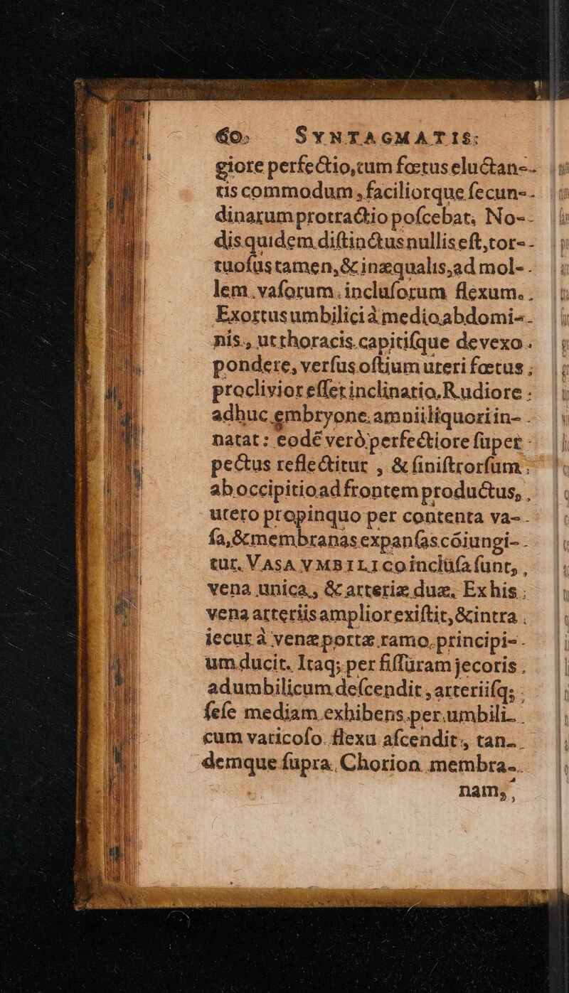 σα t pa SUME MH AERARII CINA FERE SC it omi c &amp;o- SYNTAGMATIS$: giote perfectio,cum foctus elu&amp;tan-. ts commodum, faciliorque fecun-. dinarumprotradtio pofcebat, No- - disquidem diftin&amp;usnulliseft,tor- - tuofus tamen, ὃς inzqualis;ad mol- . lem.vaforum. incluforum flexum. . Exortusumbilici à medioabdomi-. nis., utthoracis.capitifque devexo . pondere, verfusoftium uteri fatus ; proclivioreffet inclinatio. Rudiore . adhuc embryone;amnpiiliquozi in- . natat : €odé veró perfectiore füper - pectus reflectitur , ἃς finiftrorfum ; aboccipitioad frontem productus, , utero propinquo per contenta va- fa, &amp;c membranas expan(ascóiungi- - tur. VAsA VMB1LICOinclü(a funr, , vena unica, &amp; arteriz duz. Exhis . vena atteriisampliorexiftit,&amp;intra . iecur à venzporta.ramo,ptinci pi-. um ducit. Itaq; per fiffüramjecoris . adumbilicum de(cendit , atteriifq; . feíe mediam exhibens per.umbilr. cum vaticofo. flexa afcendit., tan... demque fupra. Chorion membra. i nam,. ᾧ ;