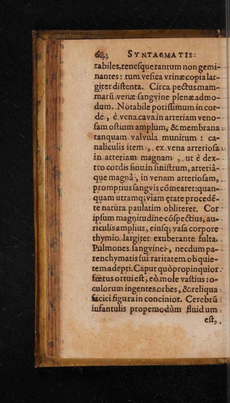 621 — SYNTAGMATIS: rabiles,renefquetantum non gemi---. nantes: tum vefica vrinz:copia lar- - giter diftenta.. Circa pectusmam- ..: marü.venz:íangvine plenzadmo- .-: dum. .Notabile potiflitnumin cor- | dé, é.venacavain arteriam veno--- fam oftium amplum; ὃς membrana .. | tanquam. valvula. munitum :. ca- naliculis item, , ex vena arteriofa | in.arteriam: magnam. ,.ut é dex- . | tto cordis houin finifttum,arteriá- -- | que magná; in venam arteriofam, , promptius fangvis comearet:quane - quam utramq;viam etate procedé- . te natura. paulatim obliteret, Cor: ipfum magnitudinecófpectius, aue . riculisamplius; eiuíq; yafa corpore thymio.largiter-exuberante fulta. . Pulmones.fangvine&amp;, necdum pa- - renchymatisfui raritatem obquie- temadepti.Cáput quópropinquior - fcetusortuieft; eo. mole vaítius :o- culorum ingentesorbes , Screliqua - facicifigurain concinior. Cerebrü infantulis propemodüm fluidum. EU eft, ,