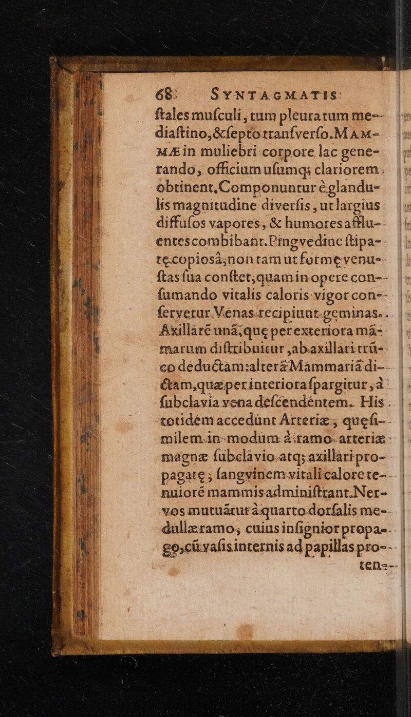 ftales mufculi, tum pleutatum me-- diaftino,&amp;feptotranfverfo.M Ax- ME in muliebri:corpore lac gene- rando, officiumufumq; clariorem: obtinent, Componuntur églandu-- lis magnitudine diverfis , utlargius diffufos vapores, &amp; humoresattlu- - entescombibant.Pingvedinc (tipa-- te.copiosà;non tam utforme venius- ftas (ua conftet;quamin opere con-- fumando vitalis caloris vigor con-- ferverur Venas.recipiunt.geminas.. Axillaréuná;que perexteriora má- marum difttibuitur ,abaxillariccá-- co deductam:alterzMammaria di-- é&amp;tam,quaperinteriorafpargitur ἃ fubclavia venadéféendéntem. His : totidém accedünt Arteriz;; quefi- - milem.in-modüm: à:;ramo. arteria - magna fubclavio.atq; axillaripro- nuioré mammisadminiftrant.Ner- vos mutuatur á quarto dorfalis me-- düllz.ramo; cuius infignior propa. | jd