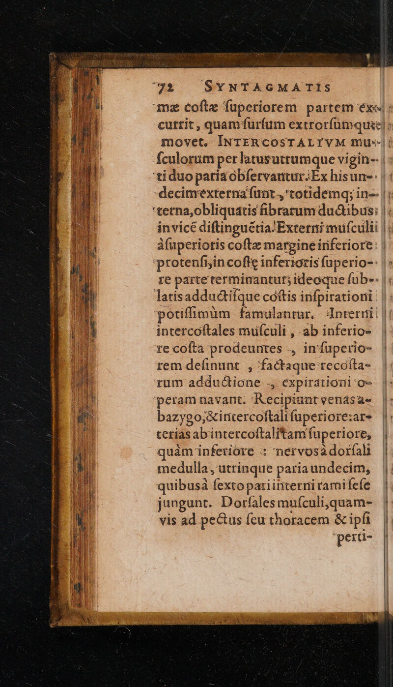 fuperioris cofte marpineiriferiore ] ] » intercoftales mufculi , -ab inferio- re cofta prodeuntes ., in'fuperio- rem definunt. , factaque recóíta- rum addudctione ., expiration o- 'peram navant. Kecipiunt venasae bazygo,&amp;iritercoftalifuperiore:are tcrias abintercoftalitam fuperiore; quàm inferiore : nervosádorfali medulla, utrinque pariaundecim, quibusà fexto paziinterrii ramifefe jungunt. Dorfales mufculi,quam- vis ad pectus feu thoracem &amp; ipfi pera-