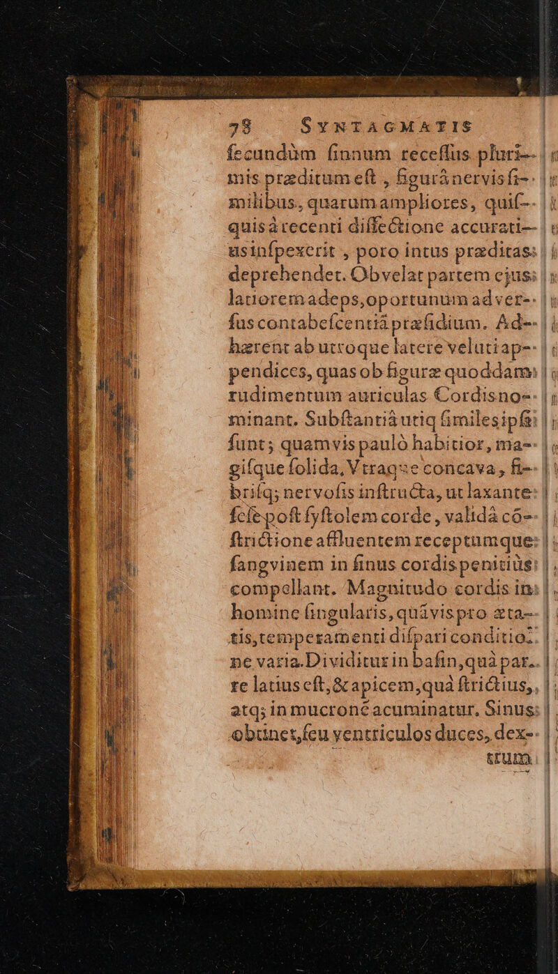 ἔῳ- 28 SYNTAGMETIS fecundum (innum receflus pluri | mis praeditum eft , Bguránervisfi-- |: milibus, quarumampliores, quif-- |j quisa recenti diffectione accurati— |: üsinfpexerit , poro intus praditas: | | deprehendet. Obvelat partem cjus; | ; laueremadeps,oportunum ad ver-: | fuscontabefcentii przfidium. Ad-- || harent ab utroque latere velutiap-: | pendices, quasob figurz quoddam ruüdimentum auriculas Cordisno-: |; minant. Subftantiàutiq Gimilesipfs funt; quamvis pauló habitior, ma-- |; gifque folida, Vtrag:e concava, fi-- | | brifq; nervofis inftructa, ut laxante: | , fce poft fyftolem corde , validà c6-- | | ftridtioneaffluentem receptumque: | ; fangvinem in finus cordispenitiüs compellant. Magnitudo cordis in: homine fingularis, quivispto ata-- | | tis, tempcerzamenti difpari conditioz. | . ne varia.Dividiturin bafin,quà par... | ze latiuscft;&amp; apicem;quá ftrictius,, atq;inmucroneéacuminattr, Sinus. Obünet,feu yentriculos duces, dex-- | | gum.