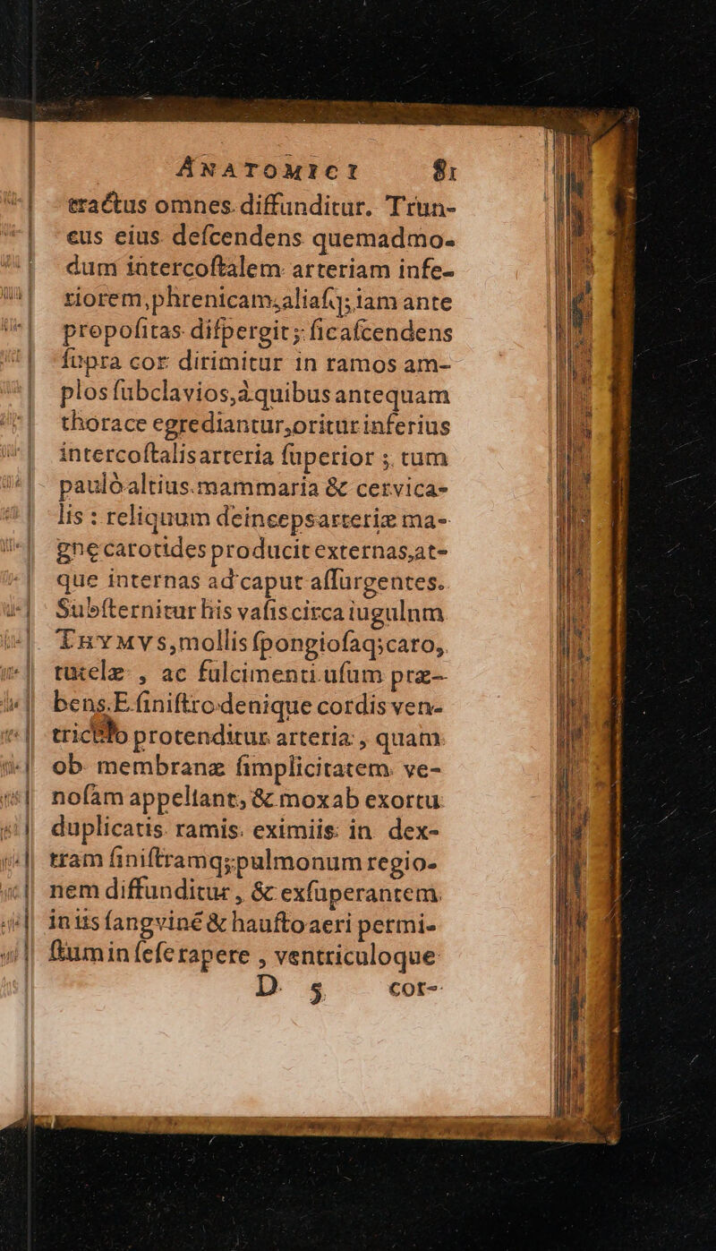 2 » bd e N ΠΟ ----- eractus omnes. diffunditur. Trun- eus eius defcendens quemadmo. dum intercoftalem- arteriam infe- ziorem,phrenicamaliaf; iam ante propofitas difpergit ; ficafcendens plos fubclavios,àá quibus antequam thorace egrediantur,oritür inferius intercoftalisarteria fuperior ; tum paulóaltius.mammaria &amp; cetvica- lis : reliquum deincepsarteriz ma- gne carotides producit externas;at- que internas ad'caput aflurgentes. Subfternitur his vafis circa iugulnm TnvMvs,mollisfpongiofaq:cato, tutele:, ac falcimenti ufum pra- bens.E (iniftro denique cordis ven- tricbTo protenditur arteria; , quam ob. membranz fimplicitatem. ve- nofaám appellant; ὃς moxab exortu duplicatis. ramis. eximiis: in dex- tram finiftramq;pulmonum regio- nem diffunditur , &amp; ex(uperantem. inits fangviné &amp; haufto aeri petmie ftumin feferapere , ventriculoque D. 5 Cot: