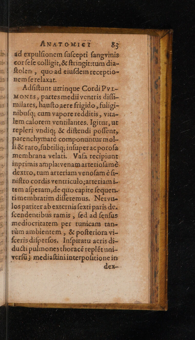 — —MÀ3 ——— — aem X 2^ π xs /——— À — -— ad expulfionem füícepti fangvinis eor fele colligit, ὃς ftringit:tum dia- ftolen , quoad eiufdem receptio- nemfíferelaxat. Adfftunt uttinque Cordi Pvr- M ONES, pattesmedii ventris diffi- milares, hauftoaere frigido. fuligi- nibufq; cum vapore redditis, vita- lem calorem ventilantes, Igitur, ut epleri vndig; &amp; diftendi poffent, parenchymaté componuntur rol- li &amp; rato, fübtiliq; infuperacporofa membrana velati. Vafa recipiunt inprimis arnpla:venagaarteriofame dextro, tum arteriam venofam ὃ fi- niftzo cordis ventriculo;arteziam i- tem afperam;de quo capite fequen.: ti membratim di(íleremus. .Nervue los pariter ab externis Íexti paris de, τ * x e —————— M^ mediocritatem. per tunicam tan num ambientem , &amp; pofteriora vi- Ícerisdifperfos, Infpiratu acris di- du&amp;i pulmonesthoracé replét uni-
