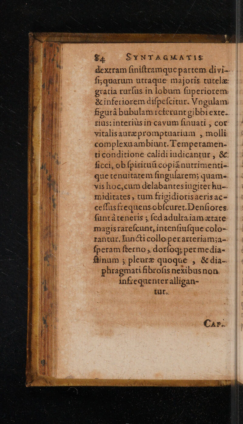 gratia rurfus. in lobum fuperiorem: &amp; inferiorem dif; pe Ícitur. Vn gulam: vitalisautzpromptuaríum , molli complexuambiunt. Temperamen- ticonditione caliditudicantur, &amp; ficci, obfpitituü copi&amp;nutrimentis. que tenuitatem fingularem; quam-. vis hoc,cum delabantesiugiter hu-- miditates , tum frigidiorisaerisac- ceffasfrequensobícuret.Denfiores. füntatenetts ; fed adulta iam tate magis rarefcunt, intenfiufque colo-- rantur, Iun&amp;i colloperarteriam;a- fperam fterno , doríoq; per media- finum 5 pleutz quoque , &amp; dia-- phragmati fibrofis nexibus non. infiequenteralligan- tur. ' H | i !