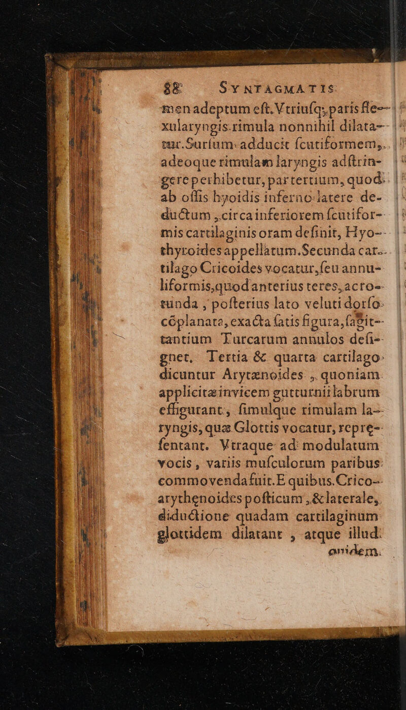 $8: Sv NTAGMA T IS menadeptum eft. Vtriuíqs paris fe-— Ὁ xularyngis.rimula nonnihil dilata |^ sar. Suríum: adducit fcutiformem,. adeoque rimulam laryngis adftrin- gereperbibetur, partertium, quod. ab offis hyoidis inferao-latere de- ductum ,circainferiorem fcutifor-- mis cartilaginis oram definit, Hyo-- thyroidesappellatum.Secunda car.. tilago Cricoides vocatur,feu annu-- liformis,quodanterius teres, acro-- tunda , pofterius lato veluti dorfo- cóplanata, exacta fatis figura, faSit- tantium Turcarum annulos defi-- gnet, Tertia &amp; quarta cattilago: dicuntur Arytanoides. ,, quoniam applicite invicem gutturniilabrum effigurant, fimulque rimulam la-- ryngis, qua Glottis vocatur, repre-- fentant. Vtraque- ad: modulatum vocis, variis muículorum paribus: commovendatuit.E quibus.Crico-- arythenoidespofticum , &amp; laterale, didudione quadam cartilaginum glottidem dilatant , atque illud: onidem.