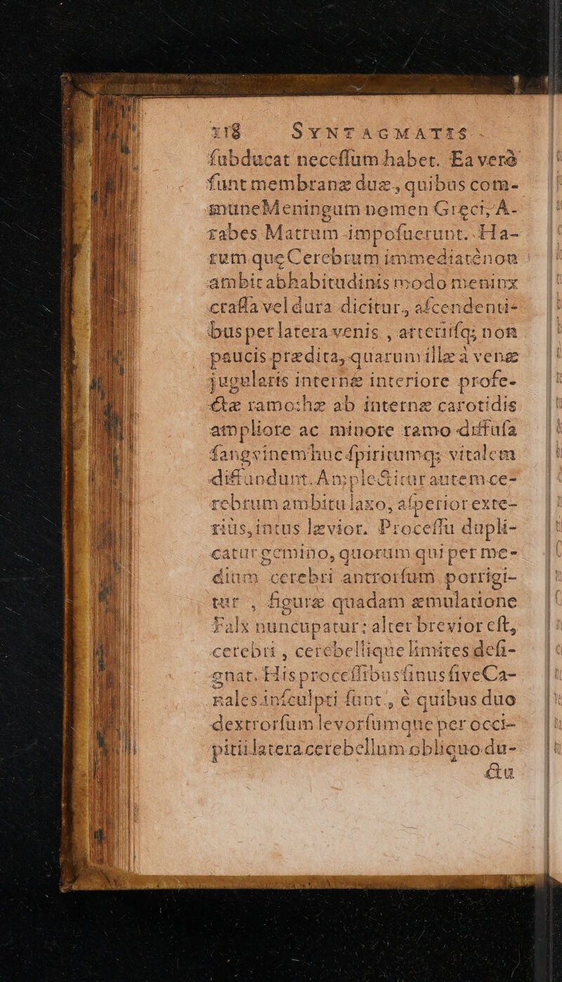 ὙΤΒ δΥντασματῆς fubducat neceffüm haber. Ea vere funt membranz duz., quibus com- zuneMen üingum pomen Greci, Á- rabes Matram-imp Dfuerunt, LHia- rum queC erebrum immedtaténon ambicabhabitudinis mo Ὁ meninx craBla vel áura dicitur, busper latera venis , att tef q;DoR paucis praedita, quar 'umilleà venae jugelarts intern&amp; interiore profe- €te ramo:hz ab interne carotidis tn pliore ac minore ramo diitufa fang $rinemhu icfpiricamag vitalem diffaod lunt. Amplie&amp;itarautemce- rebrumambitulaxo, alperior exte- rius,intus lzvior. Proceffu dupki- catur gemino, quorum qui per me- ditm cerebri antrorfum porrigi- tur, Beure quadam aemulatione Falx nuncupatur: alter brevior cft, T Re 13 1 cerebri , cerebellique limites ibi nát. ME wusfiveCa- Y culpti funt., é quibus duo lext Ux M levorfumque per occi- pitiilateracerebellum oblicuo.du- A X eu