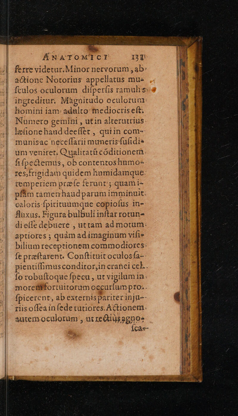 ÁÉNATOMTCI 13] ferre videtur. Minor nervorum , ab: actione Notorius appellatas mu» fculos oculorum difperfis ramulis: ingteditur, Màguitudo oculorum: homini iam- adulto: mediocris eft; Numero gemini , utin alterutrius. lefione haud deeffet , quiin com- munisac neceffarii muneris fufidis um veniret; Qualitatà códitionem: fifocctemus, ob contentoshnmo- resfrieidam quidem hamidamque. temperiem przfe ferunt5.quam i- pfám támenhaudparum imminuit: caloris fpitituumque copiofus in- fluxus. Figura bulbuli inftat rotun- dielfe debuere , uttam ad motum: aptiores ; quàm ad imaginum vifie bilium receptionem commodiorcs: fe preeftarent. Conftitnitoculosfa-- pientiffimusconditor;in cranei cel. fo robuftoque fpecu , ut vigilum in. moretlffortuitorumoccutríum pto;. fpicerent, ab externis pariter inju-- riisoffeainfedetutiores. Actionem. autem oculorum , ut re&amp;tiusagnos Ícas-