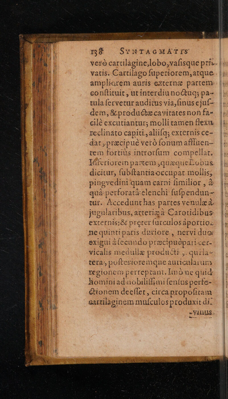 18 | SvHuTAGMATIS vatis. Cartilago fuperiorem,atque ampliorem auris externz partem. conftituit , utinterdiunodtug; pa- tula fervetur audicus via,finuscjuf- dem, &amp; produ&amp;a cavitatesnon fa- cilé excutiantur; molli tamen flexus reclinato capiti. aliifq; externis ce- dat; pracipué vetó fonum affiuen- m fortius introrfum compellat, norem pasxem ,quaquefobus dicitut, fubftantiaoccupat ἸΌΝ εν piugvedini quam carni fimilior , 3 quà perforat&amp;:elenchi ἘΠΕ Δ tur. Jeecedunt has partes venulz ἃ, jugularibus, atterizà Caroetidibus externis:&amp; proter (arcalosaportio. nequintipatis duriore, nervi dug exigai 4lecando precipuépai icet- vicalis medullz procuctr ,. quia tera; poftezior emgne auriculaium regionem perreprant. linó ne quid Hominia d'sobililimi lentos perfe Gtionem deeller, | circa propofiram sartilaeinem mufculos produxit di. -Yinus.