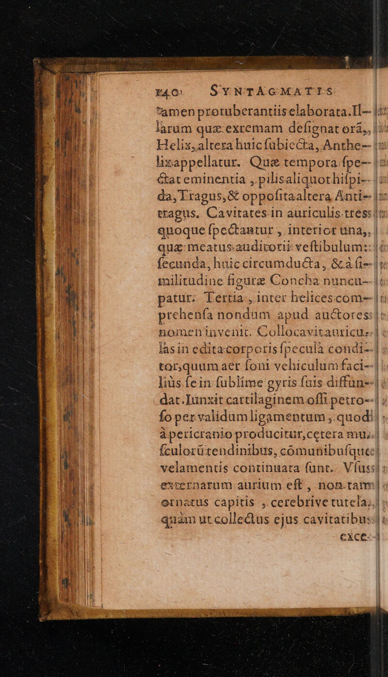 ^el — .---- r4Oo — SYNTAGMATIS tamen pretuberantiiselaborata.Il- [it larum quz-exremam defignat ori, δὶ Heliz,alterza huic fübicecta, Anthe- ἢ lixappellatur.. Qu&amp; tempora fpe-- (2 Gat eminentia ,.pilisaliquothifpi-- ἢ da, Tragus,&amp; oppofitaaltera Anti- |t: tragus,. Cavitates in auriculis-tress |ui gnoque (pectantur ,. interior una, | quz: meatus:audicvorii veftibulum:: ὦ fecunda, huic circumdu&amp;a, &amp; ἃ fi-- 1e inilitudine figute Concha nuncu--|c patur. Tettia., inter heltcesccom- prehenfa nondum apud au&amp;ores:|t nomeninventt. Collocavitauricu: lasin editacorporisípeculà condi--] tor,quumaer foni vehiculum faci- liüs fein fublime gyris fuis diffun--]i dat. Iunxit cartilaginem offi petro- fo pervalidumligamentum ,. quodi: àpericranio producitur,cetera mu, fculorütendinibus, comunibufquec] velamentis continuata funr... Vfuss] externarum aurium eft , non.tam] í ornatus capitis , cerebrive tutela, quàm ut colledus ejus cavitatibu: exce--] mE or ΘΝ d