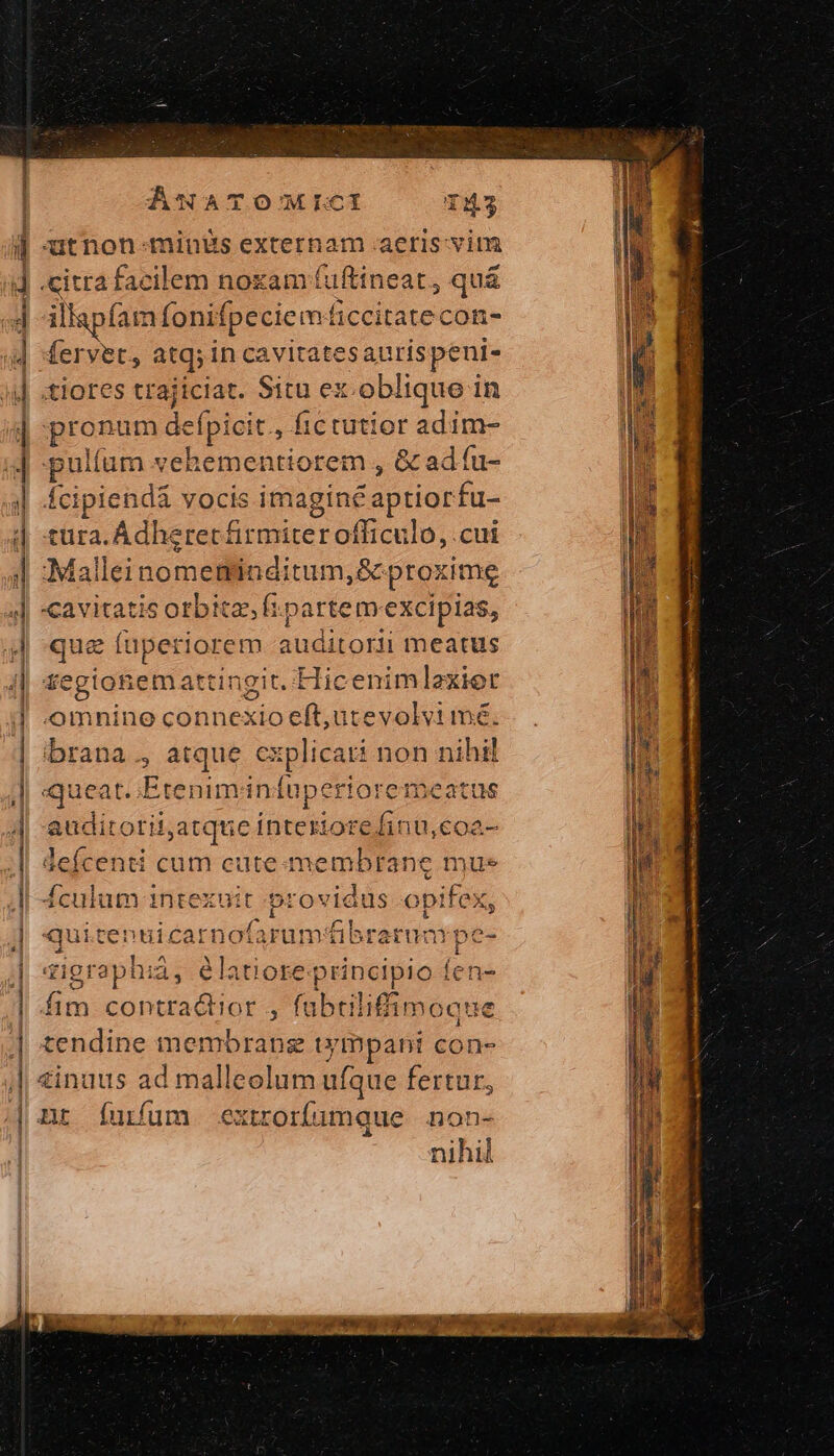 «citra facilem noxam fuftineat, αὐ illapfam fonifpeciem Bic acte con- fervet, atq; in cavitatesauris peni- tiores trajiciat. Situ ex oblique in pront um defpicit., fictutior adim- pulíum vehementiorem , &amp;a d fu- fcipiendá vocis imaginé aptiorfu- tura. Adheret firmiter officulo, .cui Malleinomeilliudi tum,&amp; proxime «avitatis orbita, fi partem: excipias, due fuperi orem audi torii meatus regionem attingi it. .Hicenimlexiet mnine connexio (pde rie tné. brana., atque explicari non nihil queat. (E ne 4e audiroril;atque intesi iorefinu,coa- defcenti cum cute me creen mue fculum intexuit . providus opifex, quicentiicart ποία της fibr atum pe- qigraphià à, élatiore principio fen- fim contra&amp;tior , fabtiliffimo ique tendine membrang tympani con- nihil