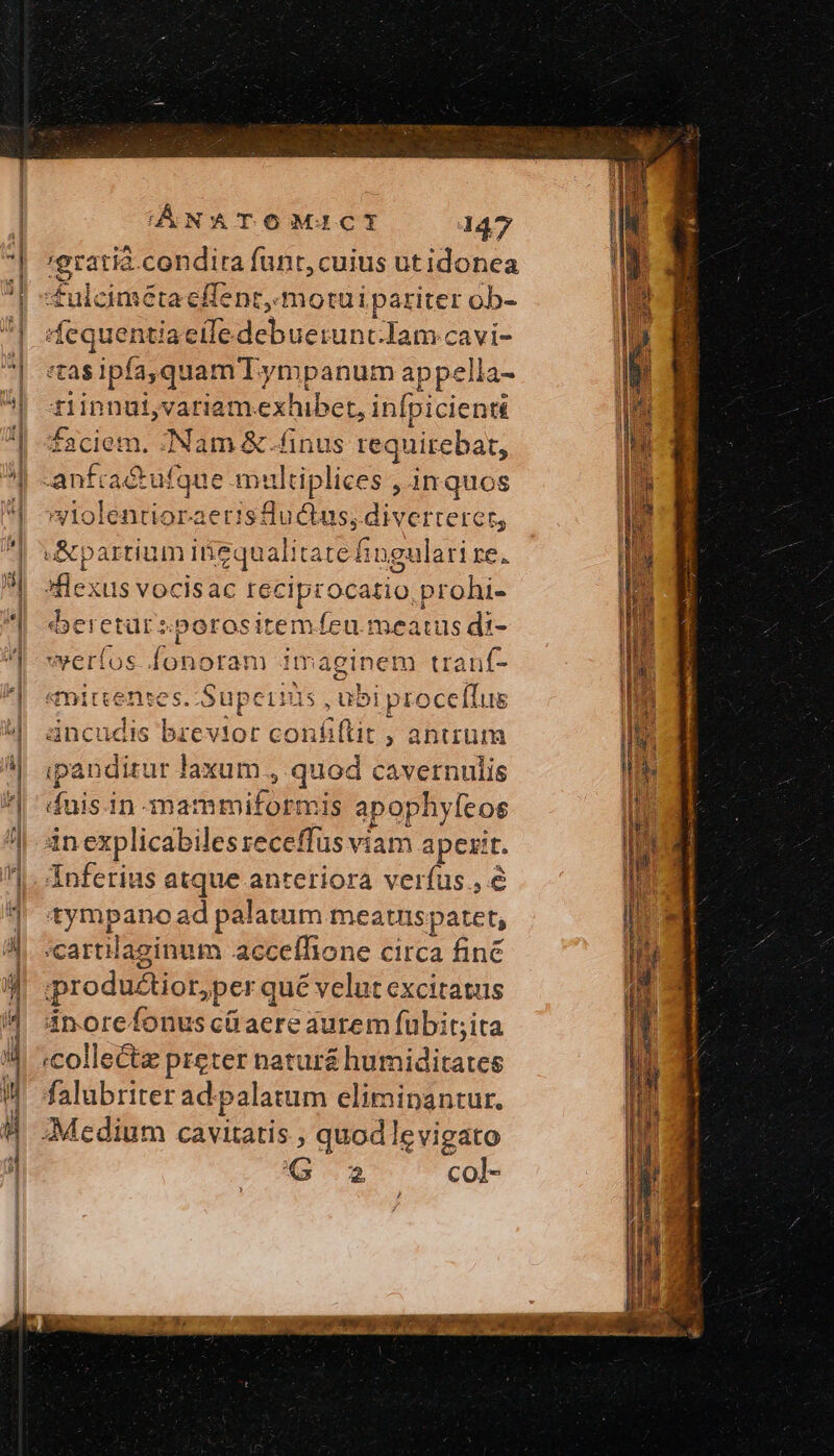 * A  $ Pr s 'gratià.condira funt, cuius ut idonea £ulciméta effent, mortui pariter ob- ^| sfequentiaeile debuerunt Iam cavi- | :zasipfa,quamTympanum appella- | einnuivariamexhibet, infpicientá Ἢ sfaciem. -Nam &amp;.finus requirebat, | -anfractufque multiplices , inquos ^| wiolentioraerisuctus, diverterer, | «&amp;partium iiequalitate fingulari re. fexus vocisac reciprocatio,prohi- | eretürsporositemfícu meatus di- | werlos fonoram imaginem tranf- s.. Superius , ubi procelTus E brevior conáiftit ; anum *| ipandirur laxum., quod cavernulis ^|: duis.in -mammiformis apophyfeos in explicabilesreceffüs viam apexit. Ἧς, inferius atque anteriora verfus. e 1 «ympanoad palatam meatus patet, &amp;|. :cartlaginum acceffione circa finé ἢ :produé&amp;tior,per qué velut excitatus 4 dinorefonuscüaere aurem fübit;ita Ἢ ;collectz preter natur&amp; humiditates IJ falubriterad.palatum eliminantur. Medium cavitatis ; quodlevigato G2 col- κυρῶ RD. dk E. AA e