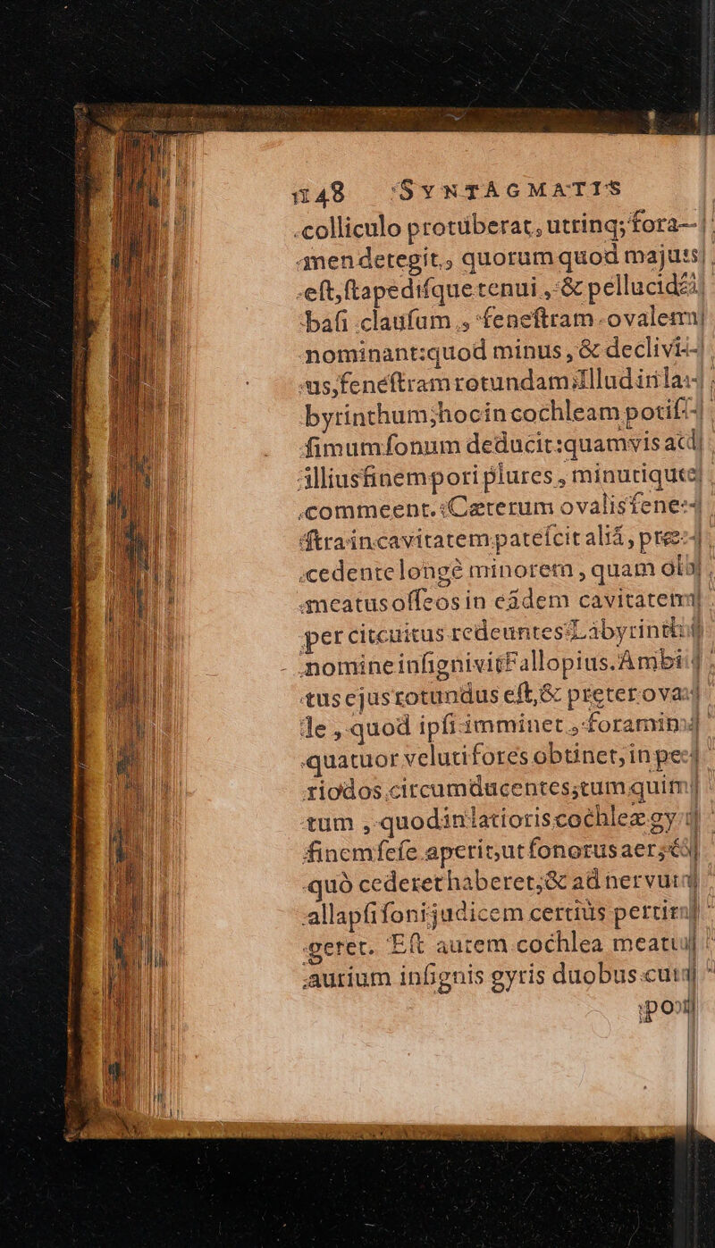 x48 /jSvNTAGMATIS .colliculo protüberat, uttinq; fora--|: amendetegit,, quorum quod majus. -eft,f(tapedifque tenui ,&amp; pellucid£i bafi claufum , feneftram.ovalemm| nominant:quod minus , &amp; declivi-- us;fenéftram retundam;lllud irila:4 | byrinthumjhocin cochleam potift] : fimumfonum deducit quamvis aci Alliusfinempori plures , minutiqute] commeent.:Caterum ovalisfene:4 ftra'incavitatem;patelfcit ali, pree44 .cedentelongé minoretn , quam οἶσθ᾽, meatusoffeosin eadem cavitatemi] . percitcuitus redeun essLábyrinthg - nomineinfignivitFallopius.Ambi p tus ejustotundus eft, &amp; preterovaul de ,.quod ipfiámminet ,foramimj] quatuor velutifores obtinet;inpe:l. riodos.circumducentes;tum quim tum , quodinlatioriscochlez gy. - finemfefe aperir,ut fonorus aer;éi| | “απὸ cederet haberet;&amp; ad nervutaj 11 allapfifonijudicem certius pertiml Ϊ li gerer. Eft autem cochlea meatu]: Iu Ϊ aurium infignis gyris duobus .cutd| ^ pou