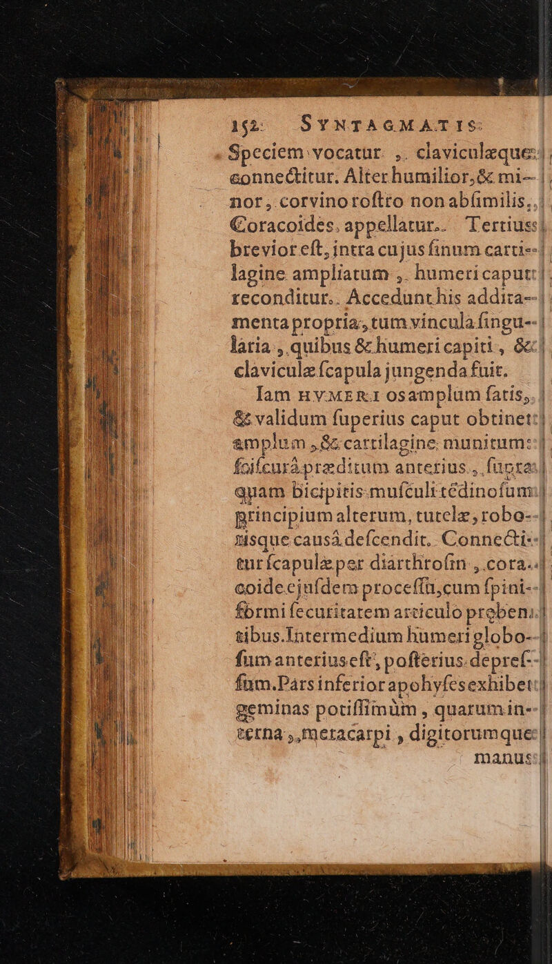 192: | SYNTAGMATIS: laria, quibus ὃς humericapiti, δέ clavicule fcapulaj ungenda fuit. el τίει urá.pradirum anterius... fupra quam bicipiris-mufculr tédinofum vn t€rna ,meracarpi , digitorumque Rete