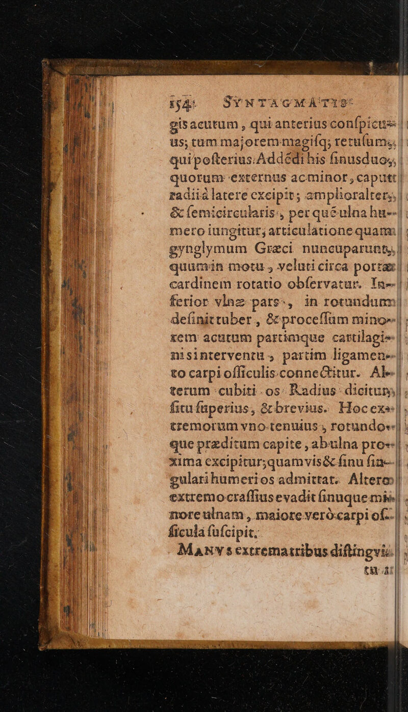 14. SYNTAG MA TIS: us;tum majorem P 16 retuíums. quorum: ez iot ad acminor; caput &amp; femicircularis:, per qu&amp;ulna hu--| meto iungitur; articulatione quami gynglymum Greci nuncuparunt | ferior vlaz pars, in rotundum definittuber., &amp; proceffüm mino». terum cubiti os Radius: dicitum fitu füperius, &amp; brevius. Hocex» tremorum vno-tenuius , rotundo«- que przdit um capite , abulna pros xima excipitur;quamvis&amp; finu fin- gularihumerios admittat. Altero extremocraffius evadit finuque tnb nore ulnam, maiore verócarpi oí-. ficula füfcipit.