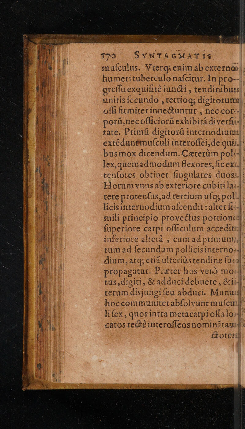 QE. TTVPMSIRU SN TUER S RISE SES EIER GE Tee gre(fu exquifité iuncti , tendintbuss]. unitis fecundo , tertiog; digirorumm| offi fitmiterinne&amp;untur , nec cor--| porá,nec officiorü exhibità diverfi]: tate. Primíi digitorá internodiunu] extéduntfmul(culi interoffei, de quij.i' busmox dicendum, Ceteràüm pol-4. lex,quemadmodnm Hexores,(ic excl. tenfores obtinet fipgulares duos): Horum vnusabexteriore cubiti la. tere protenfus,ad rertium ufq; poll] licis internodium afcendit: alter f1--] mili principio provectus portion: 3: füperiore carpi officulum accediti] inferiore alreià , cum ad primum. rum ad fecundum pollicisinterno» dium, atq; eciá ulteriàs tendine fuco propagatur. Prater hos veró mox] rus digiti, &amp;adduci debuere , &amp;i«]. terum disjungi (eu abduci. Mund hoccommunitetabfolvunr mufcuij] lifex , quosintra metacarpi oflalo .h catos recte interoffcos nominátaur | : &amp;oressl