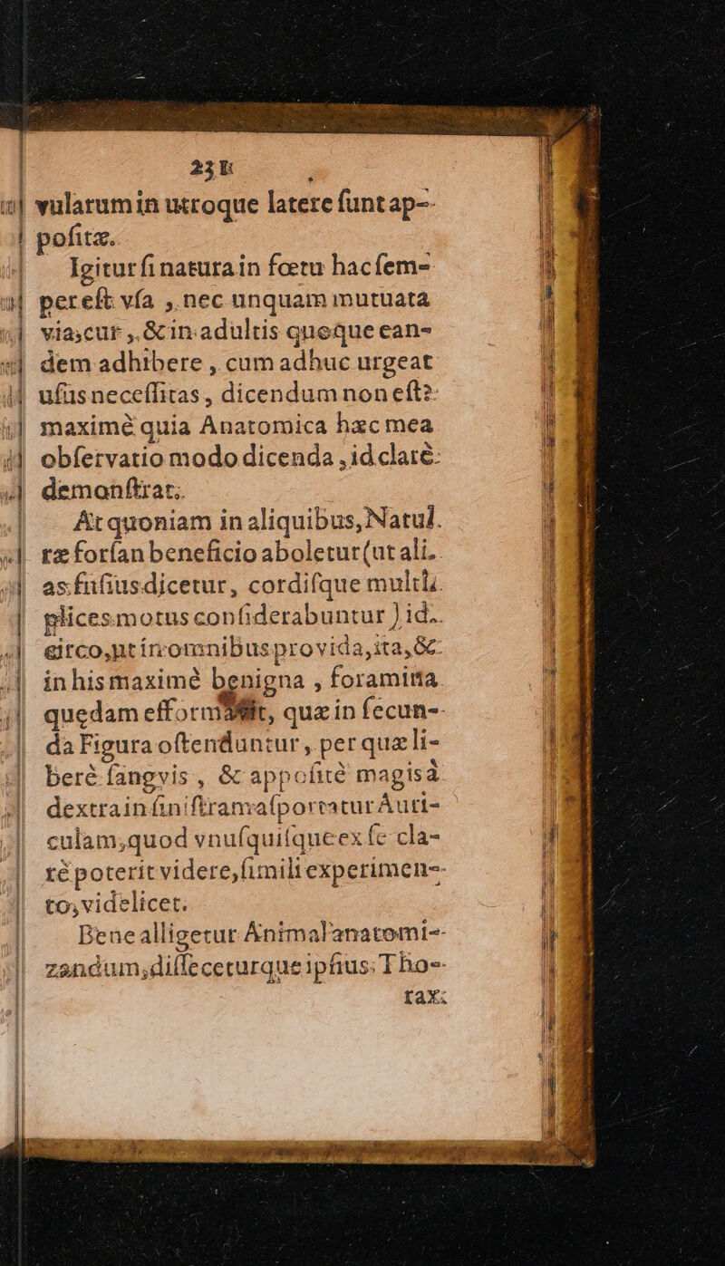 pofitz. Igiturfinaturain fetu hacfem- pereft vía , nec unquam mutuata viacur ,,Gcin adultis queque ean- dem adhibere , cum adhuc urgeat ufüs neceffitas, dicendum non eft? maximé quia Anatomica hxc mea obfervatio modo dicenda , id clarté: demonftrat.. At quoniam in aliquibus, Natul. tz forían beneficio aboletur(ut ali. as.füfiusdicetur, cordifque multi plicesmotus confiderabuntur ) id.. &amp;itco,ut irromnibus provida,ita,Gc- inhismaximé benigna , foramitta. quedam efforniilit, quz in fecun-- da Figura oftendun:tur , per que li- beré fangvis, ὃς appofité magisá dextrainfiniftranafportaturÁAuri- culam;quod vnufquitqueex fc cla- té poterit videre,(imili experimen-- to; videlicet. Bene alligetur Anim al'anatomi-- zandum,diffeceturque ipfius; T ho-- Μ RW. ——— án e EE RETE MR Eie neos cd E Sur