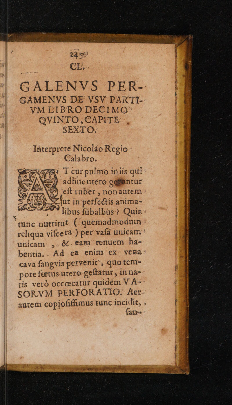 24 9» CL. VM EIBRODECIMO: QVINTO,CAPITE SEXTO. Interprete Nicoláo Regio Calabro. 1 T cur pulmo iniis qui adliucutero géflintur eft rüber , nonautem j zt jut in perfectis anima- iw unicam ,. &amp;. eam tenuem ha- cava fangvis pervenit, quo tem- pore feetus utero geftatur , in na- tis veró occeecatur quidém V A- autem copiofiffimus tunc incidit, ux