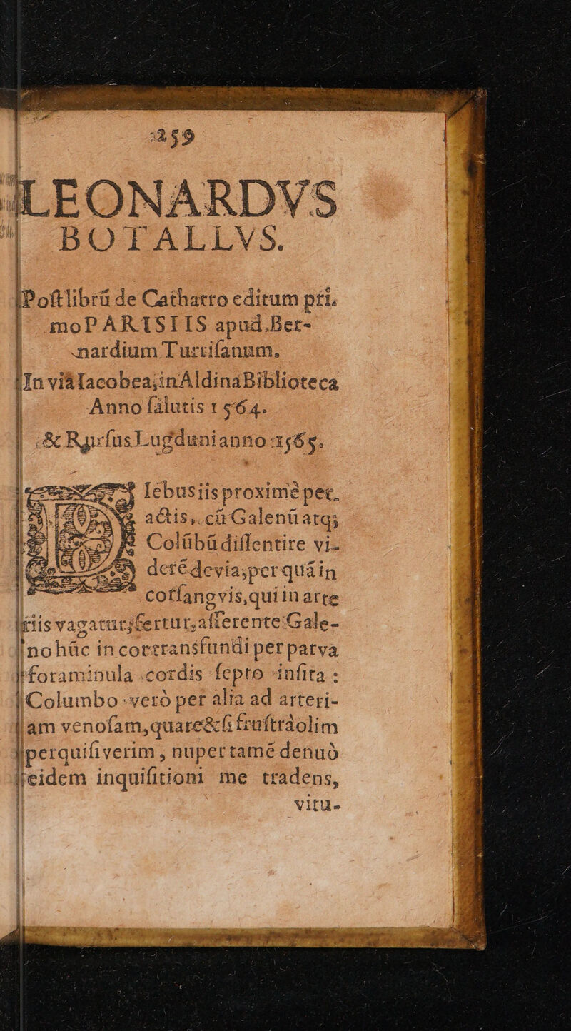 3:359 ILEONARDVS | BOTALLVS. | | e ES | « : 3 IPoftlibrü de Cathatro editum pri. moPARITSIIS apud.Ber- | 1- . -nardium T'urrifanum. IIn vi&amp;lacobea;inAldinaBiblioteca | Anno falutis τ $64. | ὃς RgvfusLugdinianno 31565. 2773 Iebusiisproximé pet. aGis,.cirGalenüatg; 2 Colübüdiflentire vi- 55 detédevia;per qu&amp;in Coffangvis,qui1n arte Iiis vazaturjfertursafterente:Gale- Inohác in corzransfundi per parva I foraminula .cordis fepto infita ; l/Columbo :veró per alta ad arteri- llam venofam,quare&amp;( fruftrdolim lIperquifi verim , nupertamé denuó l'eidem inquifitioni me tradens, ' vitu-