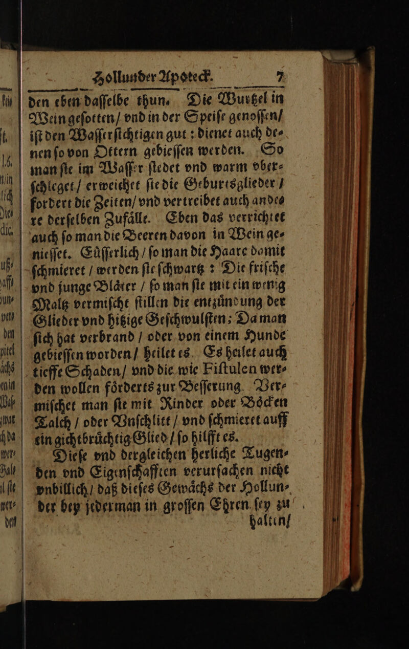 den An daſſelbe thun. Die Wurgel in Wein geſotten / vnd in der Speife genoffen/ iſt den Waffırfichtigen gut: dienet auch des | nenfovon Ottern gebieſſen werden. So ſchleget / erweichet ſte die Geburtsglieder / fordert die Zeiten / vnd vertreibet auch andeo auch fo man die Beeren davon in Wein ger | nieffer. Eüfferlich / fo man die Haare domit ſchmieret (werden ſte ſchwartz: Die frifche bond junge Bläter / fo man fie mit ein wenig Maͤltz vermiſcht füllen die ent zuͤnd ung der Glieder vnd hitzige Geſchwulſten; Da man ſich hat verbrand / oder von einem Hunde Zebieſſen worden / heilet es Es heilet auch effe Schaden / vnd die wie Fiſtulen wer miſchet man fle mit. Rinder oder Boͤcken Taͤlch / oder Vnſchlitt / vnd fchmieret auff sin gichtbruͤchtig Glied / fo hilfft es. Dieſe vnd dergleichen herliche Tugen⸗ den vnd Eigenſchafften verurſachen nicht vnbillich / daß dieſes Gewaͤchs der Hollun⸗ der bey ſederman in groſſen Ehren.fey au | halten/