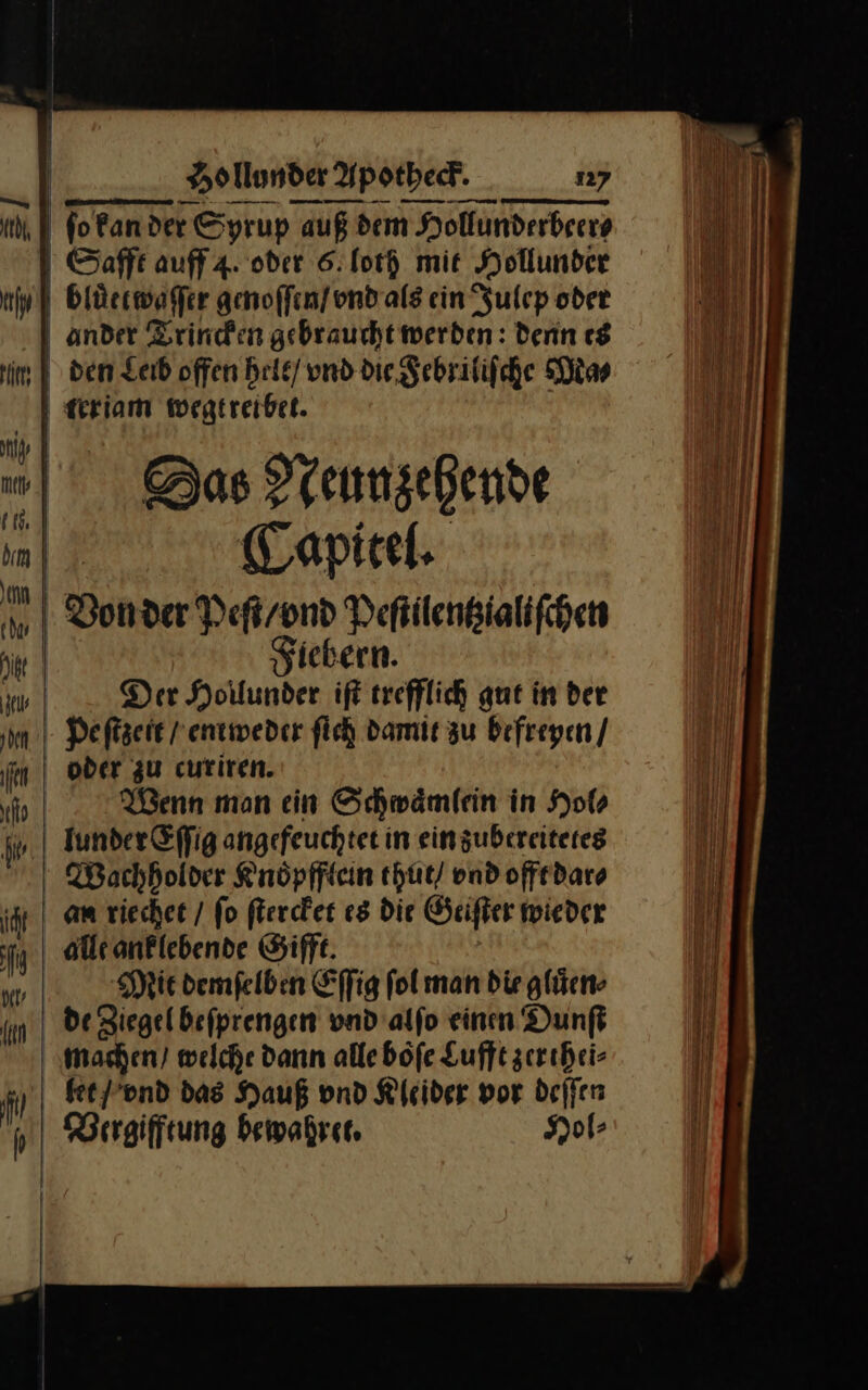 | fo fan der Syrup auß dem Hollunderbeers | Safft auff 4. oder 6: ford mit Hollunder AA bluͤetwaſſer genoſſen / vnd als ein Julep oder | ander Trincken gebraucht werden: denn es im | den Leib offen helt / und die. Febriliſche Ma⸗ ceriam Wegtreibet. m — | | Bas Neunzʒehende 4 Capitel. VBon der Peft/vnd Peftllentzialiſchen ji | Fiebern. rk Der Hollunder iſt trefflich que in der im. Peftzeit entweder fich damit zu befreyen / fm | ober zu curiren. nn Wenn man ein Schwaͤmlein in Hol⸗ fi lunder Eſſig angefeuchtet in einzubereitereg Bachholver Knoͤpfflein thut / vnd offt dar⸗ ih | am riechet / fo ſtercket es die Geiſter wieder ii alle anklebende Sifft. A Mit demfelben Effig folman dir glücn- im | deBiegelbefprengen vnd alfo einen Dunſt machen / welche dann alle böfe Lufft zerthei⸗ 1) bet / vnd das Hauß ond Kleider vor deſſen h Bergifftung bewahren Hol⸗