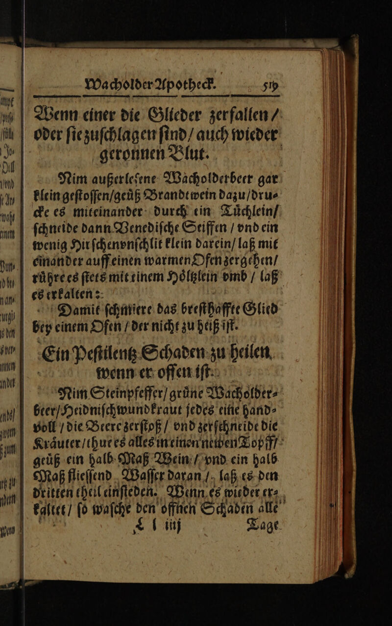 ee he —— — N } Wacholder Apotheck. r5iy nn | Wenn einer die Glieder zerfallen /: oder ſie zuſchlagen find/ auch wieder 5 geronnen Blut. . * Sim außerleſene Wacholderbeer gar {An | Bleingefloffen/geüg Brandtwein dazu / dru⸗ cke es miteinander: durch ein Tuͤchlein / ll) ſchneide dann Venediſche Seiffen / vnd ein —9 wenig Hirfchenenichlit klein darein / laß mie pn | einander auff einen warmen Ofen zergehen / ruͤhre es ſtets mit einem Hoͤttzlein vmb / laß erkalten: 1Damit ſchmiere das breſthaffte Stich ml bey einem Ofen / der nicht zu päßift. 9*F Ein Peſtilentz Schaden zu heilen Mo wenn er offen iſt Nim Steinpfeffer / grüne Machetber: | beer / Heidniſchwundkraut jedes cite hand⸗ ao | Boll / die Beere zerſtoß / vnd zerſchneide Die u Kraͤuter / thue es alles in einen atwen Topff / geuͤß ein halb Maß Wein / vnd ein halb | Map flieſſend Waſſer daran / laß. es den | dritten eheileinfteden. Wenn es wmisder er⸗ | kaltet / ſo waſche den offnen Schaden alle —J— inj Tage