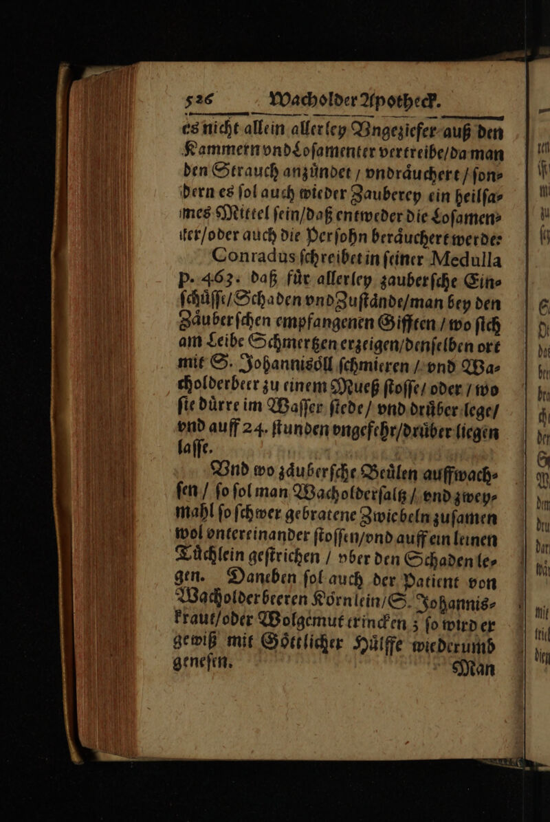 es nicht allein aller ley Vngeziefer auß den Kammern vnd Loſamenter vertreibe / da man den Strauch anzuͤndet / vndraͤuchert / ſon⸗ dern es ſol auch wieder Zauberey ein heilſa⸗ mes Mittel fein/daß entweder die Loſamen⸗ iter/oder auch Die Perſohn beraͤuchert werde⸗ Conradus ſchreibet in feiner Medulla P- 463: daß fuͤr allerley zauber ſche Ein⸗ ſchuͤſſe / Schaden vndZuſtaͤnde / man bey den Zaͤuber ſchen empfangenen Gifften / wo ſich am Leibe Schmertzen erzeigen / denſelben ort mie ©. Johannisoͤll ſchmieren / vnd Wa⸗ cholderbeer zu einem Mueß ſtoſſe / oder / wo ſie duͤrre im Waſſer ſtede / vnd druͤber lege/ vnd auff 24. Hunden vngefehr / druͤber liegen laſſe. | Und wo zäuberfche Beülen auffwach- fen / fofolman Wacholderſaltz / vnd zwey⸗ mahl ſo ſchwer gebratene Zwie beln zuſamen wol ontereinander ſtoſſen/ vnd auff ein leınen Tuͤchlein geſtrichen / vber den Schaden le⸗ gen. Daneben fol auch der Patient von Wacholder beeren Körn lein / S Johannis⸗ kraut / oder Wolgemut trincken 5 fo wird er gewiß mis Goͤttlicher Huͤlffe viede umb geneſen. Man