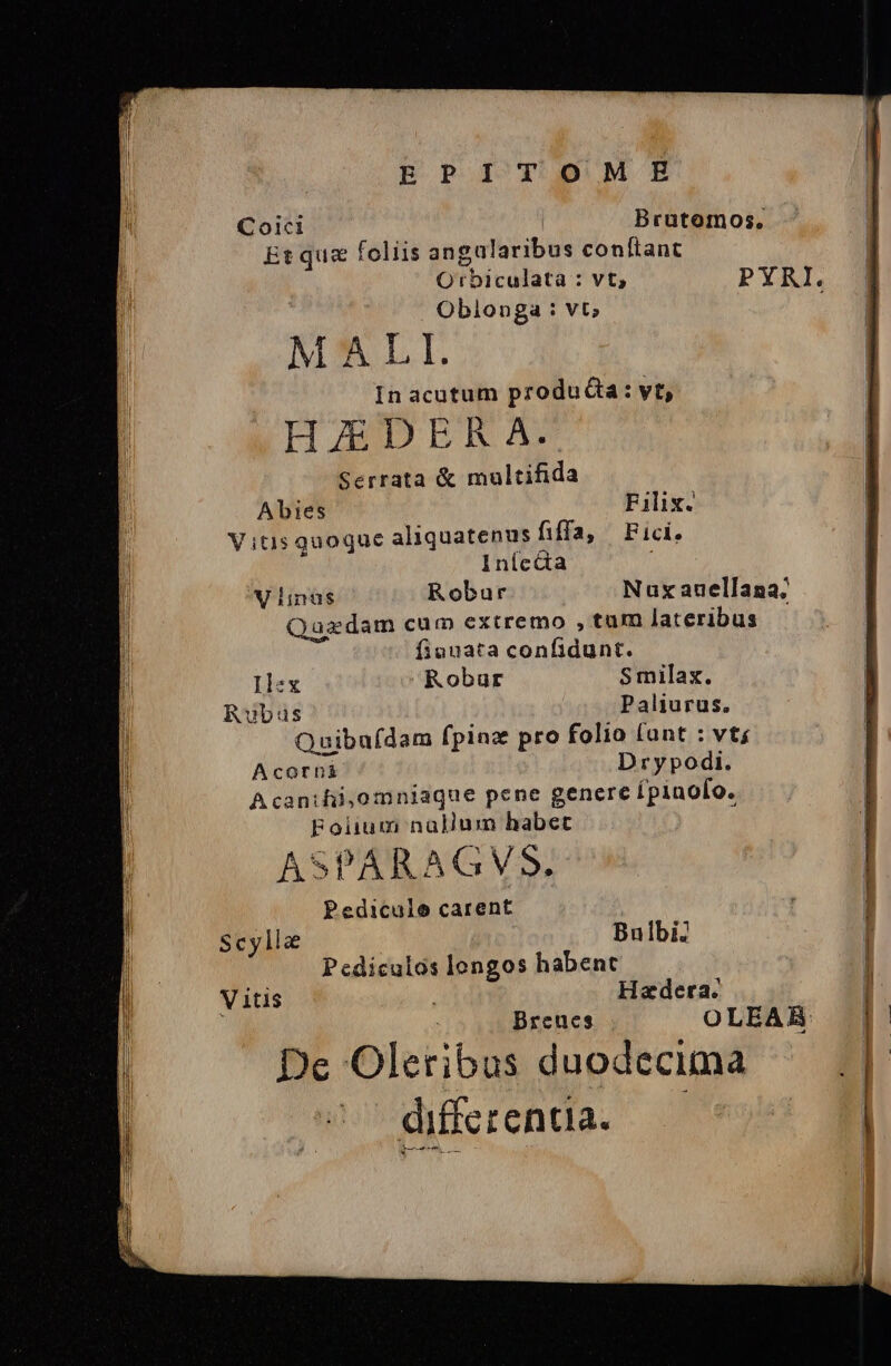 Coicl Brutomos., Et quz foliis angalaribus conftant Orbiculata : vt, PYRI. Obilonga : vt; : MALI. In acutum produ: vt, HZEDERA. Serrata &amp; multifida Abies Filix. Vitis quoque aliquatenus fiffay Fici. Iníc&amp;a | V linus Robur Nux auellana; Rubus Paliurus. Quibaídam fpinz pro folio (ant : vt; Acorni Drypodi. Acanihi,omniaque pene genere Ípinofo. Folium nallum habet Á 5 PA A A GV S. Pedicule carent ' Bulbi Pediculos longos habent V itis Hazdera. | | Breues OLEAR De Oleribus duodecima differentia. n tnt Scylle