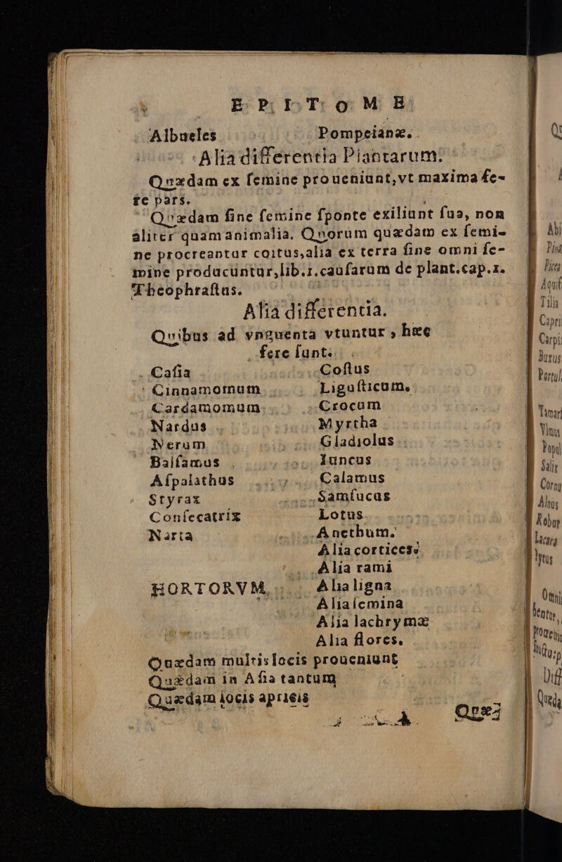 Albueles TC pars. I beophraftus. Alia differentia. vibus ad vnguenta vtuntur , hee . fere funt. . Cafia Coflus ' Cinnamormum Liguíticum., Cardamomum Crocum Nardus M yrtha Nerum Gladiolus Baifamus luncus Afpalathus Calamus Styrax Samíucas Confíecatrix Lotus Narta A nctbum; À lia cortices: Alia rami HORTORVM, Alia ligna b A liaícmina Àbi 1 Pi | Pit Áouif B ri | Capri | Cupi | Jorus | T Ponul Tear Yos hd $a B Corr B 4h | ON ! lin Wn [ Jj, Oti dt i Pei