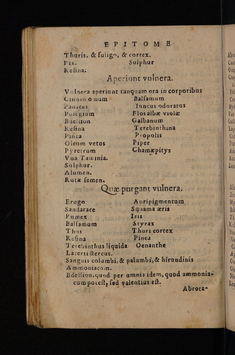 VPIT OM E Tharis, &amp;fuligo, &amp; cortex. Pak. Suiphur Refina. A»eriant vulpera. V «Inera aperinat tanqoam ora in corporibus Cinna omum Balfamum s anaces Iuncus odoratas Poicgium Flosalba viola Báeiiion Galbanum Keítna T erebinthina Piüca P «opolis Oleum vetus Piper Pyretrum Chamgpitys Vua T airinia. Salpbur. Alumen. Rute femen. Quz purgant vulnera. Erago Avoripigmentum Sandarace $9goama eris Pumex . Iris Balfamum $tyrax T has T hari cortex Rcfina Pinea Abrota-