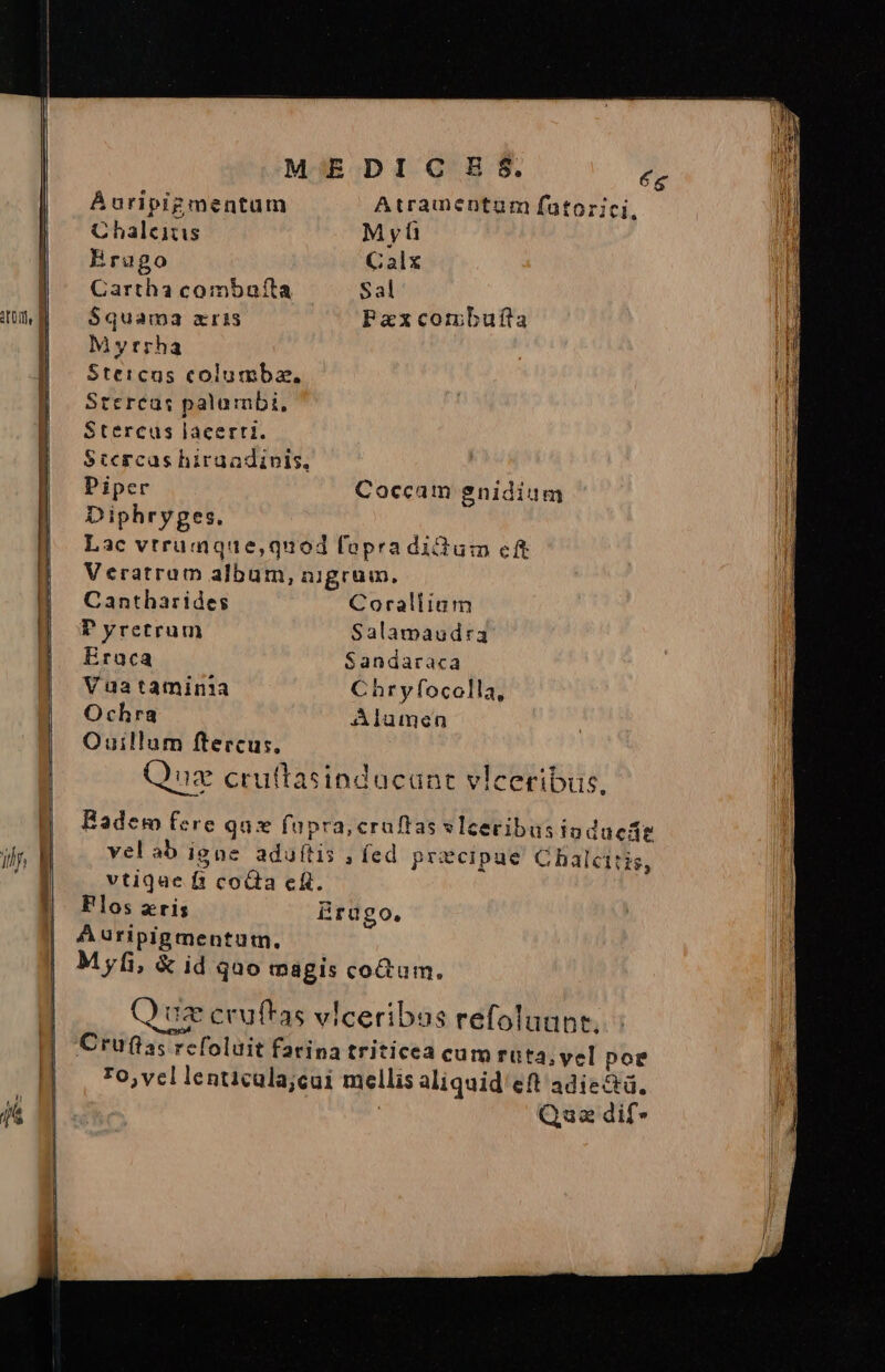 (e M EDICIE S. Áuripigmentum Atramentum futorici, Chaleiüs Myü Eruago Calx Cartha combuíta Sal $quama zr15 Faxcormbufta Myrrha Stercus columba. M Stereas palarbi, | Ld Stercus lacerti. Stcrcas hiraadinis, hd Diphryges. Lac vtrumque,quod fopra dicium eft Veratram album, nigrum. Cantbharides Coraliium Pyretrum Salamaudra ! Eraca Sandaraca | Vuataminia Chryfocolla, Ochra Alumen Ouillum fteccus. Quz cruftasinducant vlceribus, Badem fcre qux fupra; cruftas vIceribus iadacáe vel ab igue aduftis , fed praecipue C halcitis, vtiqae f1 coda ef. Flos zris Brdgo. A uripigmentum. Myfi, &amp; id quo magis cotum. Q iz ceufhas vlceribos refoluant. Cruftas rcfoluit farina triticea cum rüta; yel poe To,vellenticala;cui mellis aliquid eft adie&amp;á. | Qua dif*