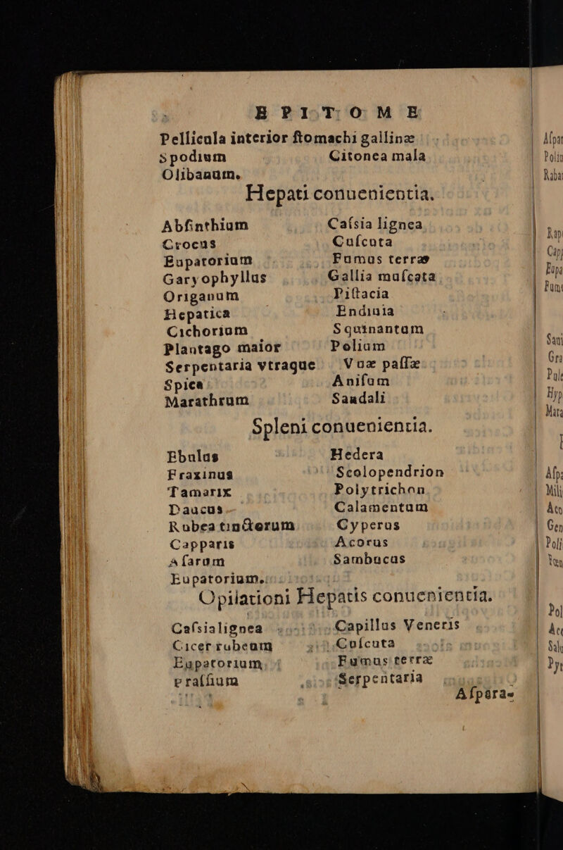 $podium Citonea mala Oli1banutn. Hepati conuenientia. Abfinthium Caísia lignea Crocus Cuícuta Euparorium Fumas terras Gary ophyllus Gallia mufcata Origanum Pi(tacia Hepatica Endiu1a Cichorium Squinantum Plantago malor Poliam Serpentaria vtraguc — Voz paff Spica Anifam Marathrum Saudali Spleni conuenientia. Ebulas Hedera Fraxinus Scolopendrion Tamerix Poiytrichon Daucus Calamentum Robea Gon&amp;erum Cyperus Capparis Acorus Afarum Sambucas Eupatoriuim.. Fumus terra Serpentaria Afpara«