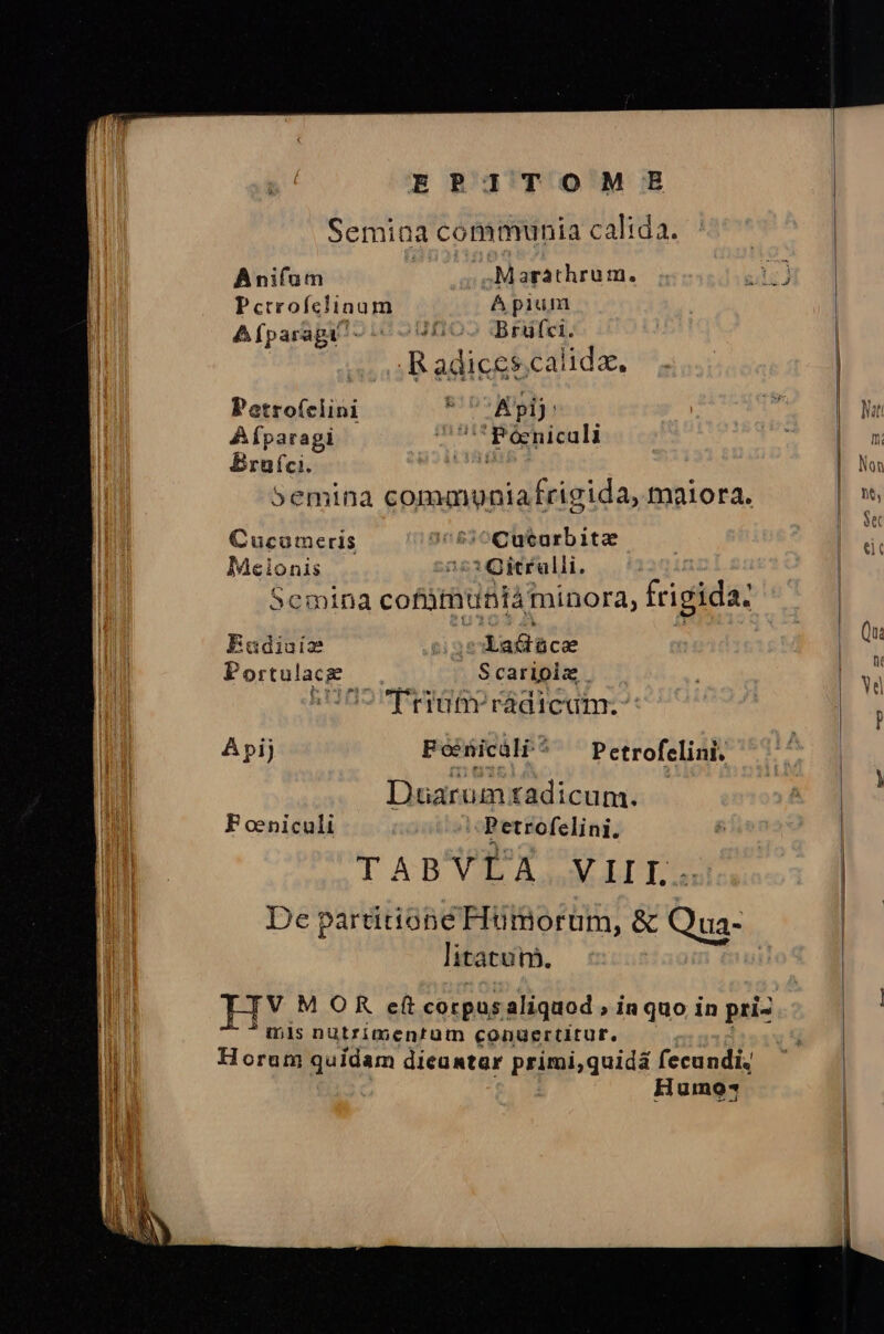 EPITOMIE Semina communia calida. Anifum Marathrum. slc) Pcrrofclinum ^ pium | Afparapi - £50» Brület. o Radicescalida, Potrofclini R05 pfj Afparagi D Ui* Péeniculi Brufci. di 5emina communiafrigida, maiora. Cucumeris a68i0QCuturbitze IMMcionis 2:3 Qitrulli. Scmina cofütnuntàminora, frigida: Eadiaiz tio ebattüce Portulacge Scarioiz HOS From radicam.- Api] P oenicali ^ — Petrofelini. Duarumztadicum. P oeniculi Petrofelini. TABVLALMLIDA De partitione FIumorum, &amp; Qua- litatum. mis nutrimentum conuertitur. Horum quidam dicantar primi,quidá fecundi, Humo?