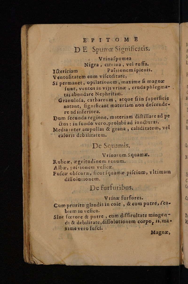 pum ici cii ae t Jus dnioi m PT TOOM E DE Spumz Sienificatis. Nigra , citrina, vel ru ffa. I&amp;eticiam Paísionemipienis. Ventofitatem cam viícofirate, Si permanet, opilationet , maxime fi magnae funt, ventos in vijs vrinz , crudaphlegma-e , tasabandare Nephritiin. Granuloía, catbarrum , atque fiin faperficie natant, fignificant materiam non deícende« re ad inferiora. Dum fecunda regione, materiam diftillare ad pe &amp;us : in fando vero,prolabi ad janGnras. Media:nter ampullas &amp; grana , caliditatem; vel caloris dzbilitatem., De Saquamts. Vriparum Squama. Rubez, egritudinem renum, Albz, peí«ionem vefica. Fufce obícorz, ficatíqaamaz pifcium; vltimam difioigtionem, De furfuribus. V rinz furfares. Cum pruritt olandis incole , &amp; cam putre; (ca« biem 1n vefica. Since foetore &amp; potre , cum difficultate mingen- | ll] di &amp; debilitate,diffolutionem corpo, 1$,ma* E ) xime vero fufcl. Magna,