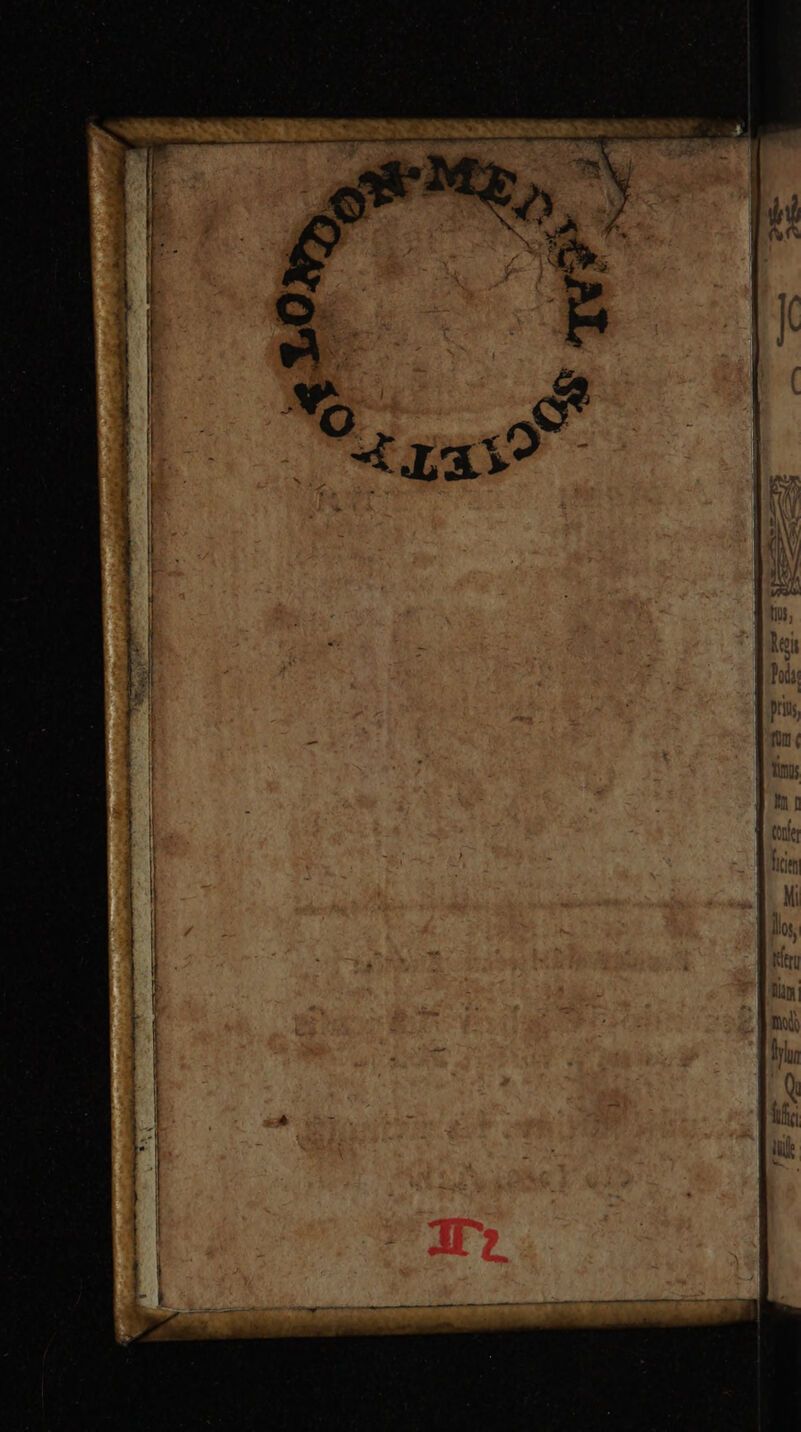 T -——— EN ntt ra i a . C———————————————ÀQ * € —— E ———— — — -AROEACTTSUMRMyDeeT mm — — TOU * 1. PUPIESTU MPMPERP s TN —— ———Ó (E RE SOL SK TTC UA Aim ai omnem ms Wu, Romi S : CL Ae M. eure UP ;